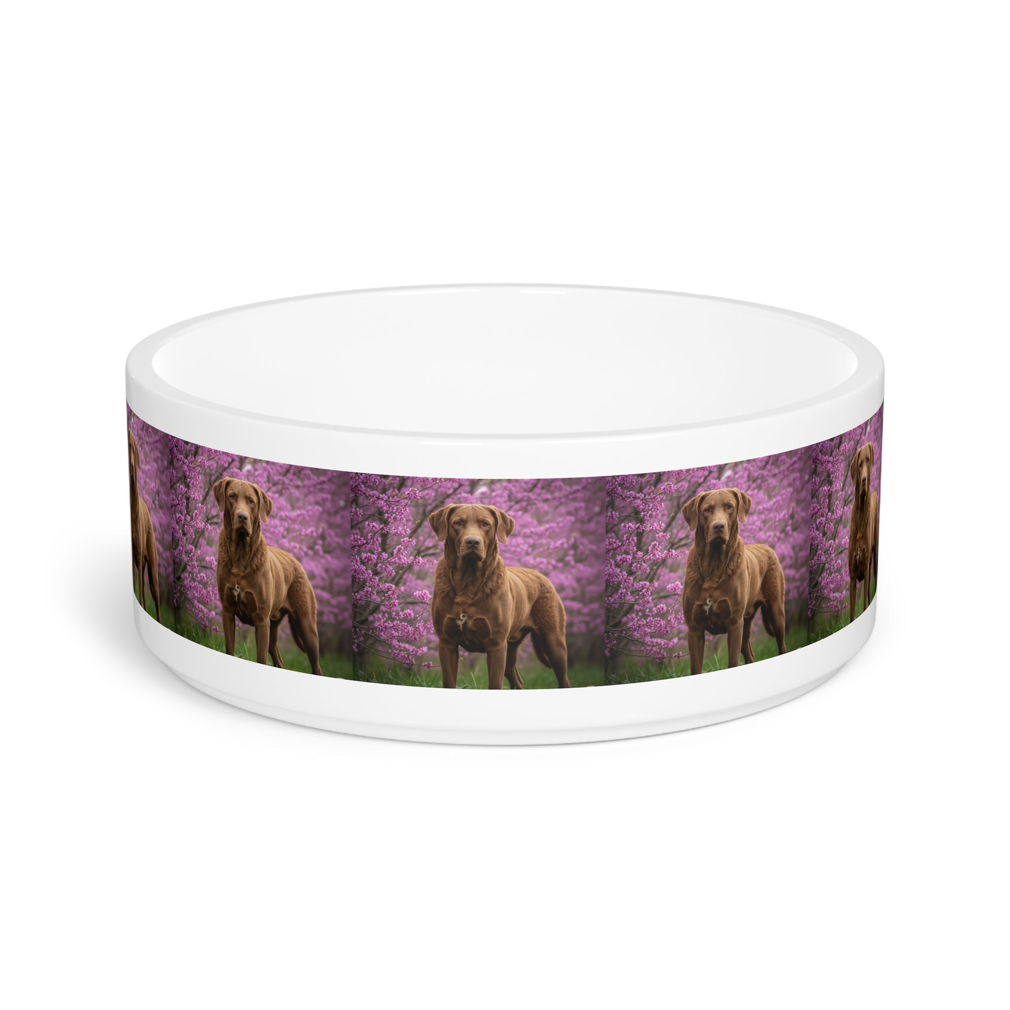 Ceramic Pet Bowl – 16 oz Dog Feeding Bowl