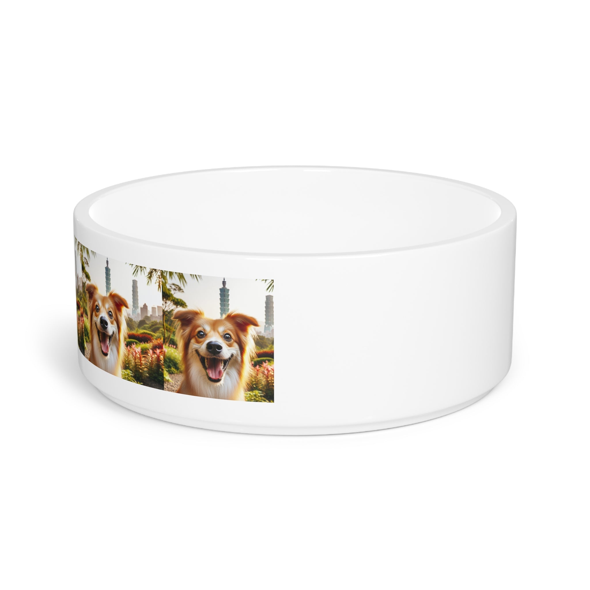 Ceramic Pet Bowl – 16 oz Dog Feeding Bowl