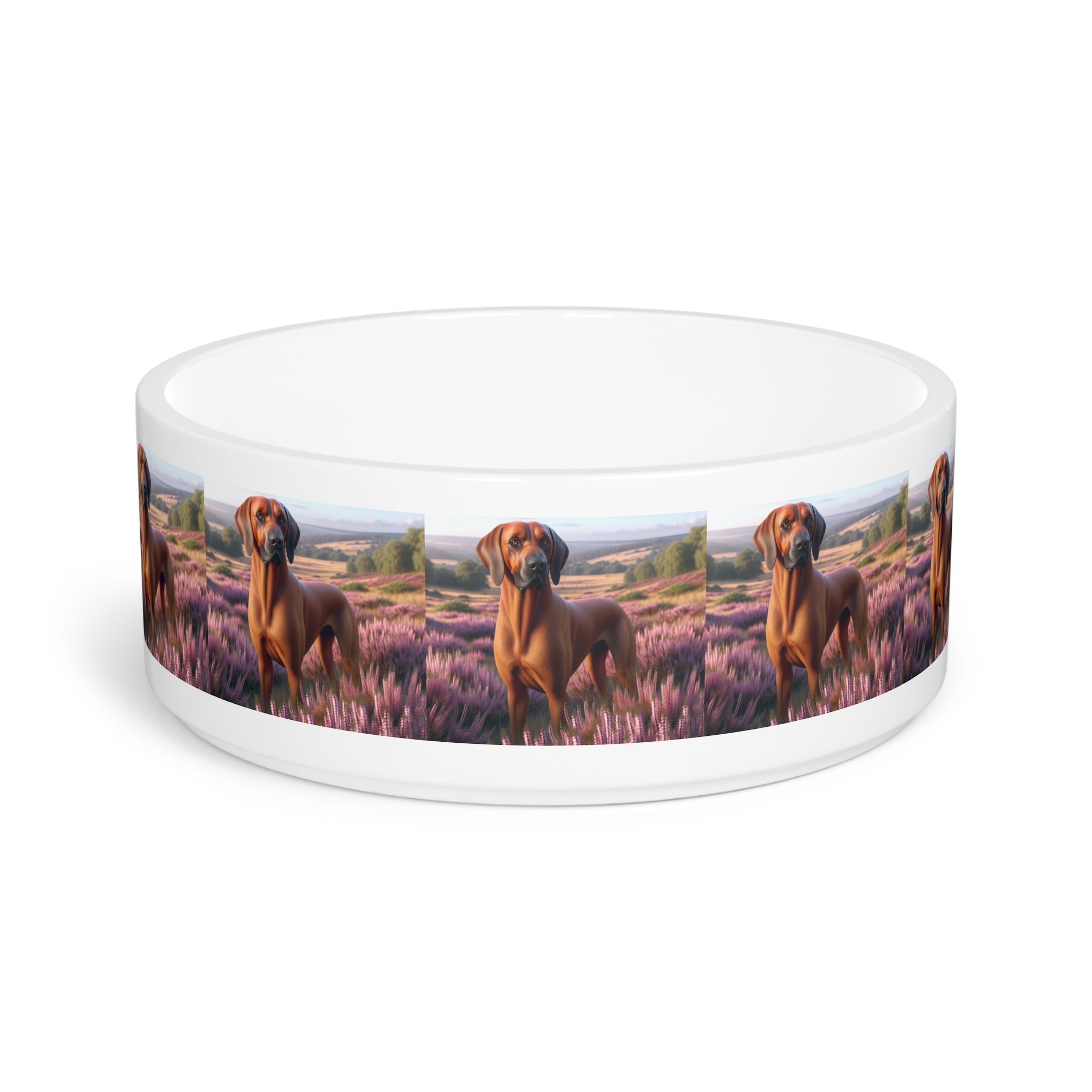 Ceramic Pet Bowl – 16 oz Dog Feeding Bowl