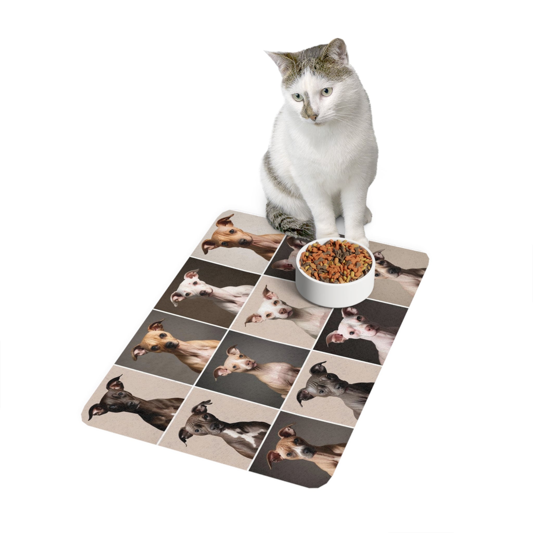Non-Slip Pet Food Mat – Waterproof Feeding Mat for Dogs