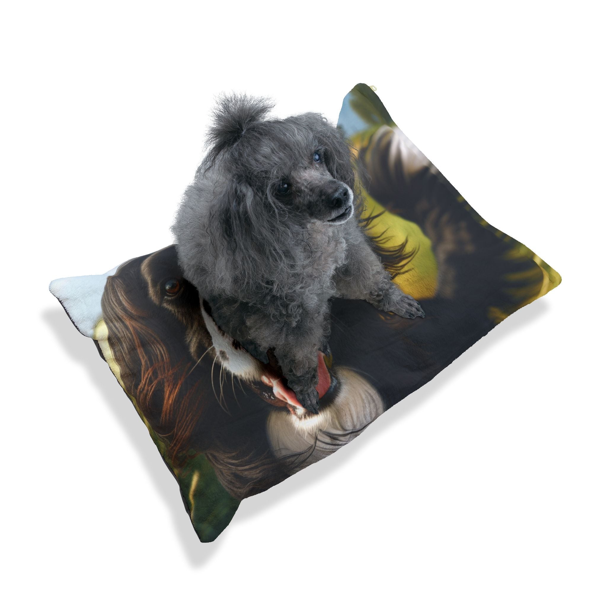 Pet Bed – Plush Dog Bed, 3 Size Options