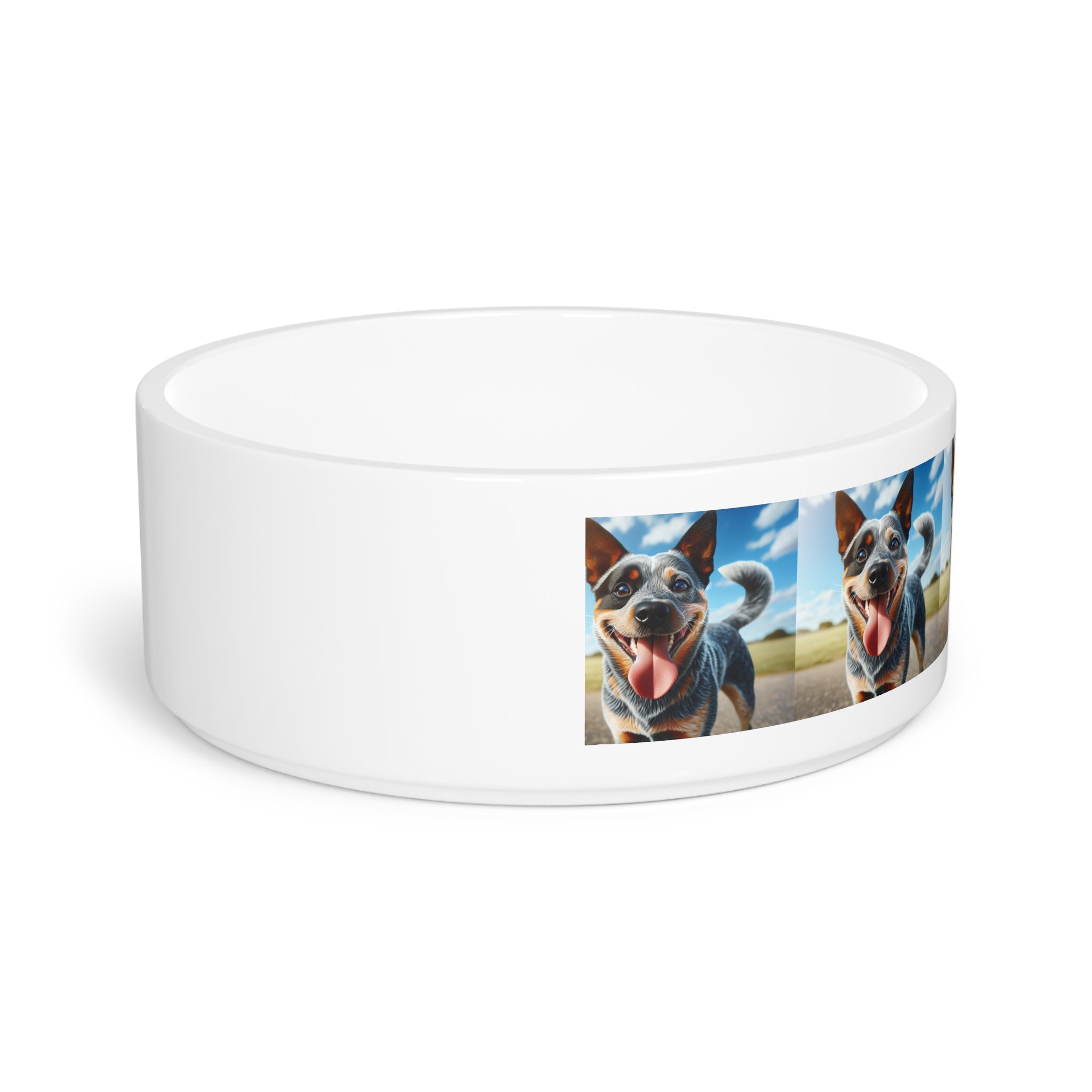Ceramic Pet Bowl – 16 oz Dog Feeding Bowl