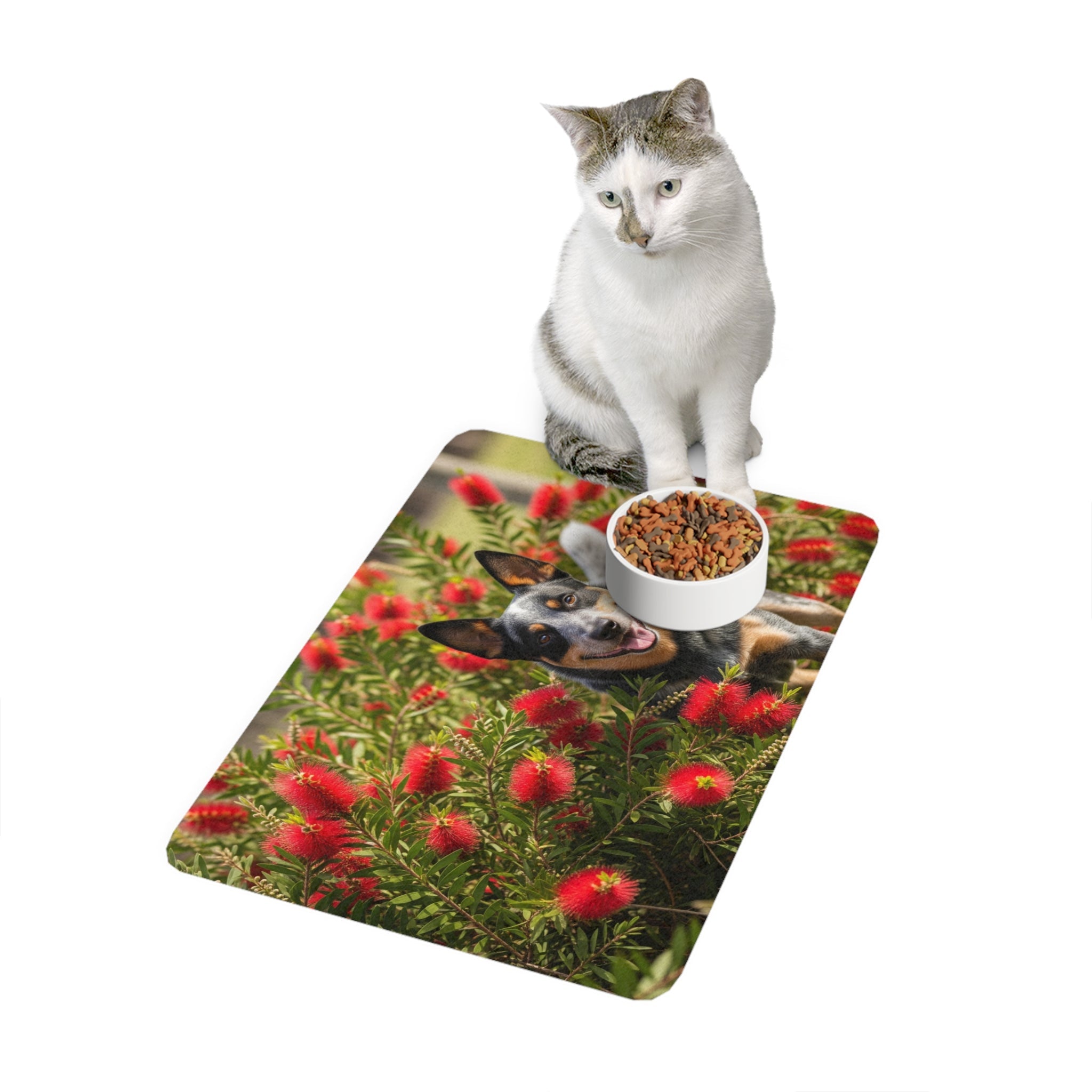 Non-Slip Pet Food Mat – Waterproof Feeding Mat for Dogs