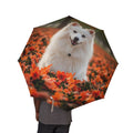 48" Semi-Automatic Umbrella – Windproof Large Travel Rain Umbrella