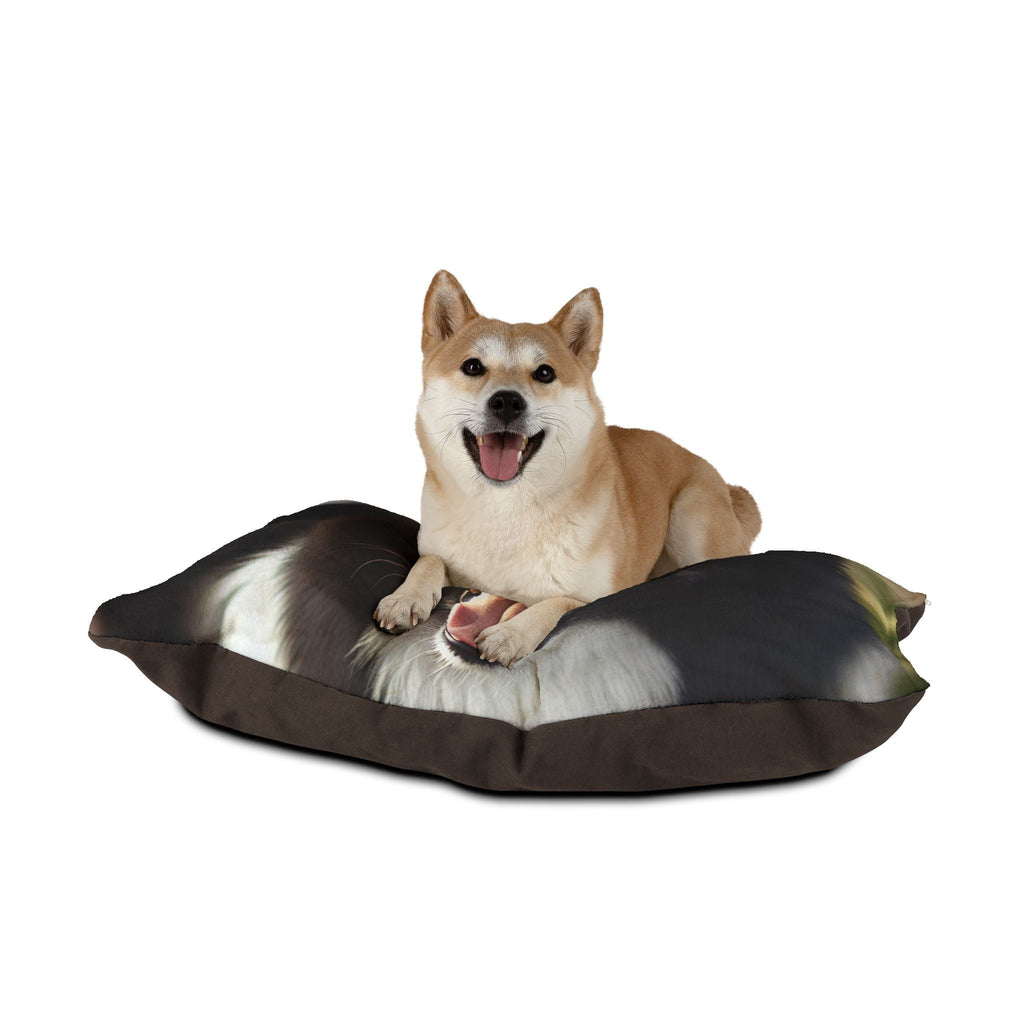Pet Bed – Plush Dog Bed, 3 Size Options