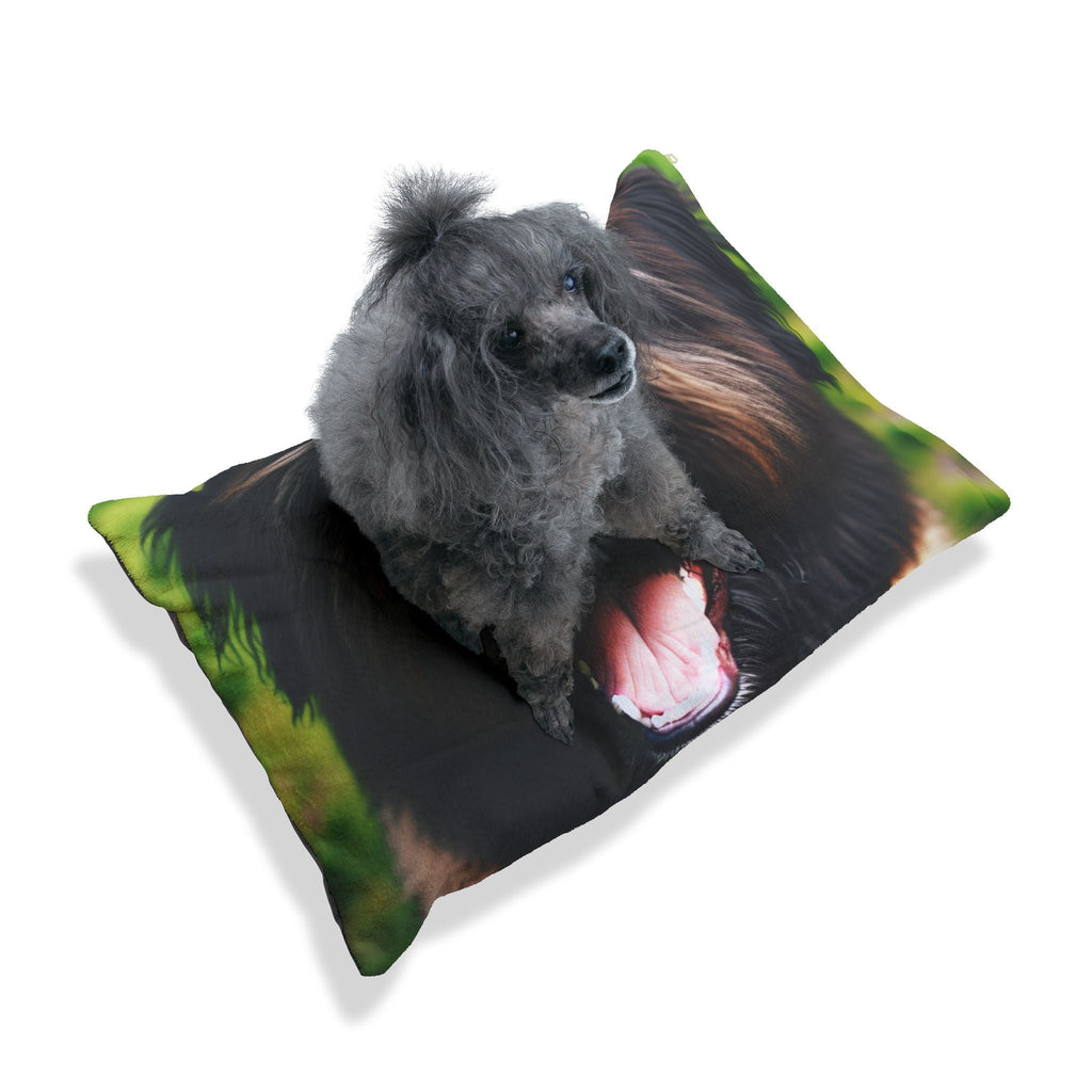 Pet Bed – Plush Dog Bed, 3 Size Options