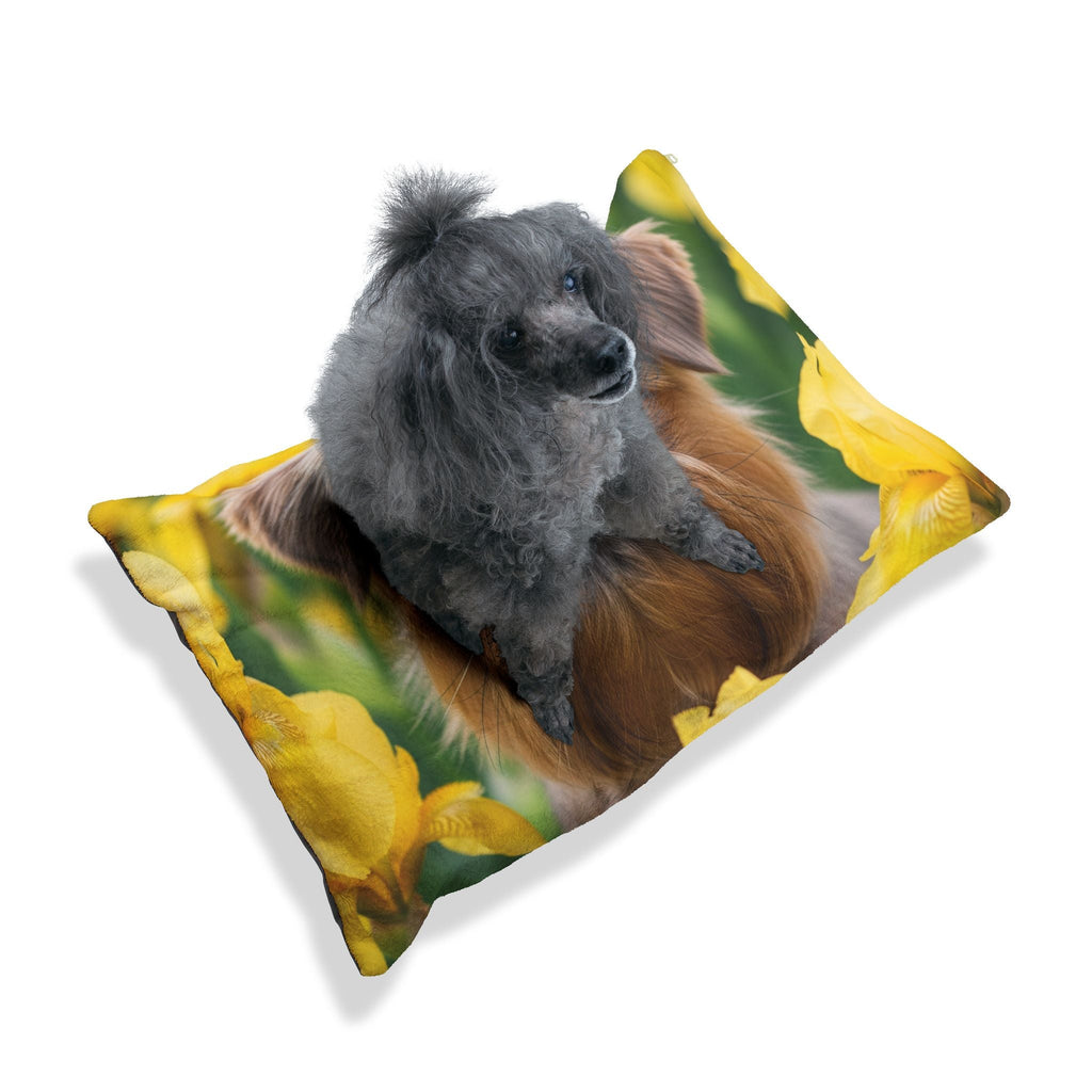 Pet Bed – Plush Dog Bed, 3 Size Options