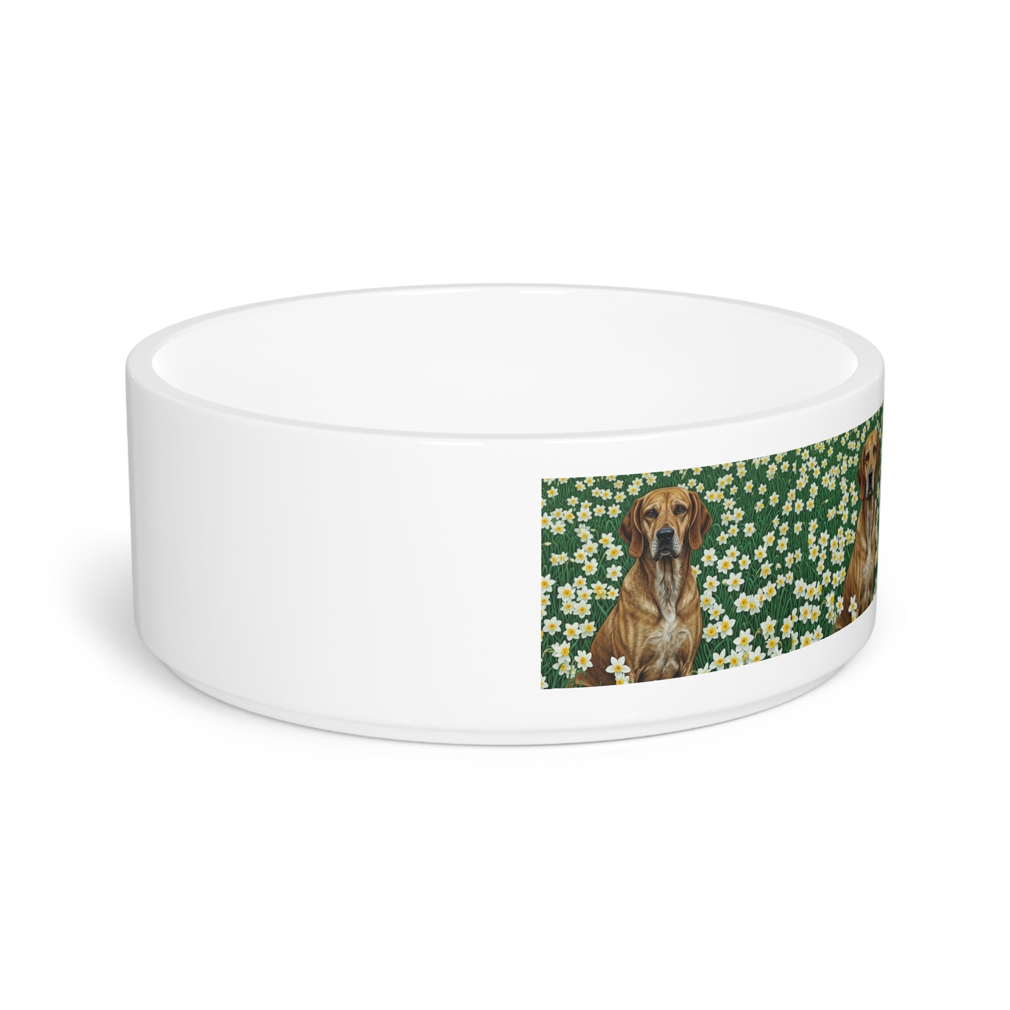 Ceramic Pet Bowl – 16 oz Dog Feeding Bowl