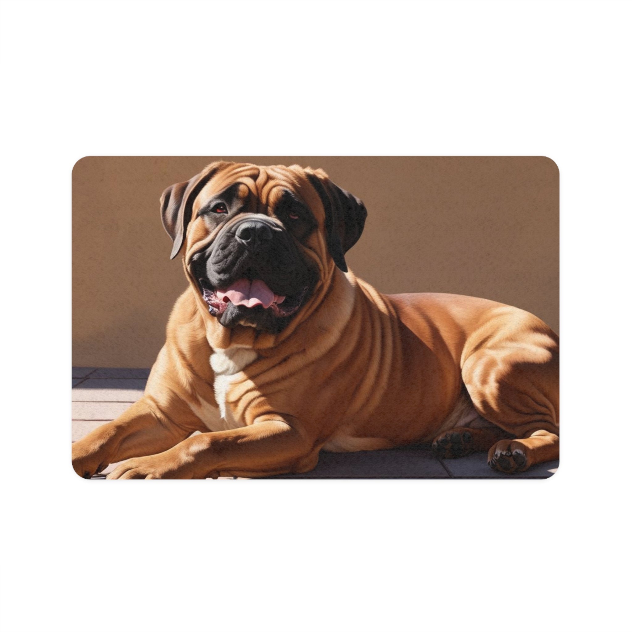 Non-Slip Pet Food Mat – Waterproof Feeding Mat for Dogs
