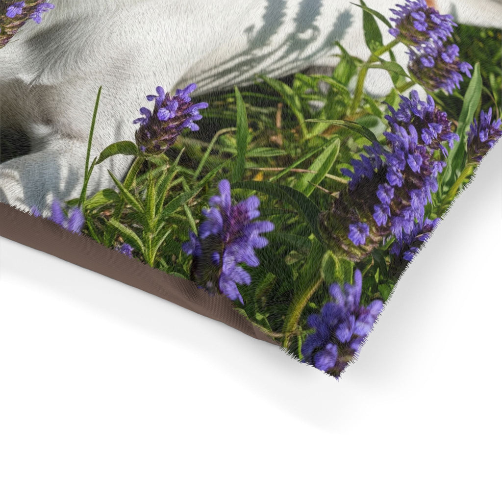 Pet Bed – Plush Dog Bed, 3 Size Options