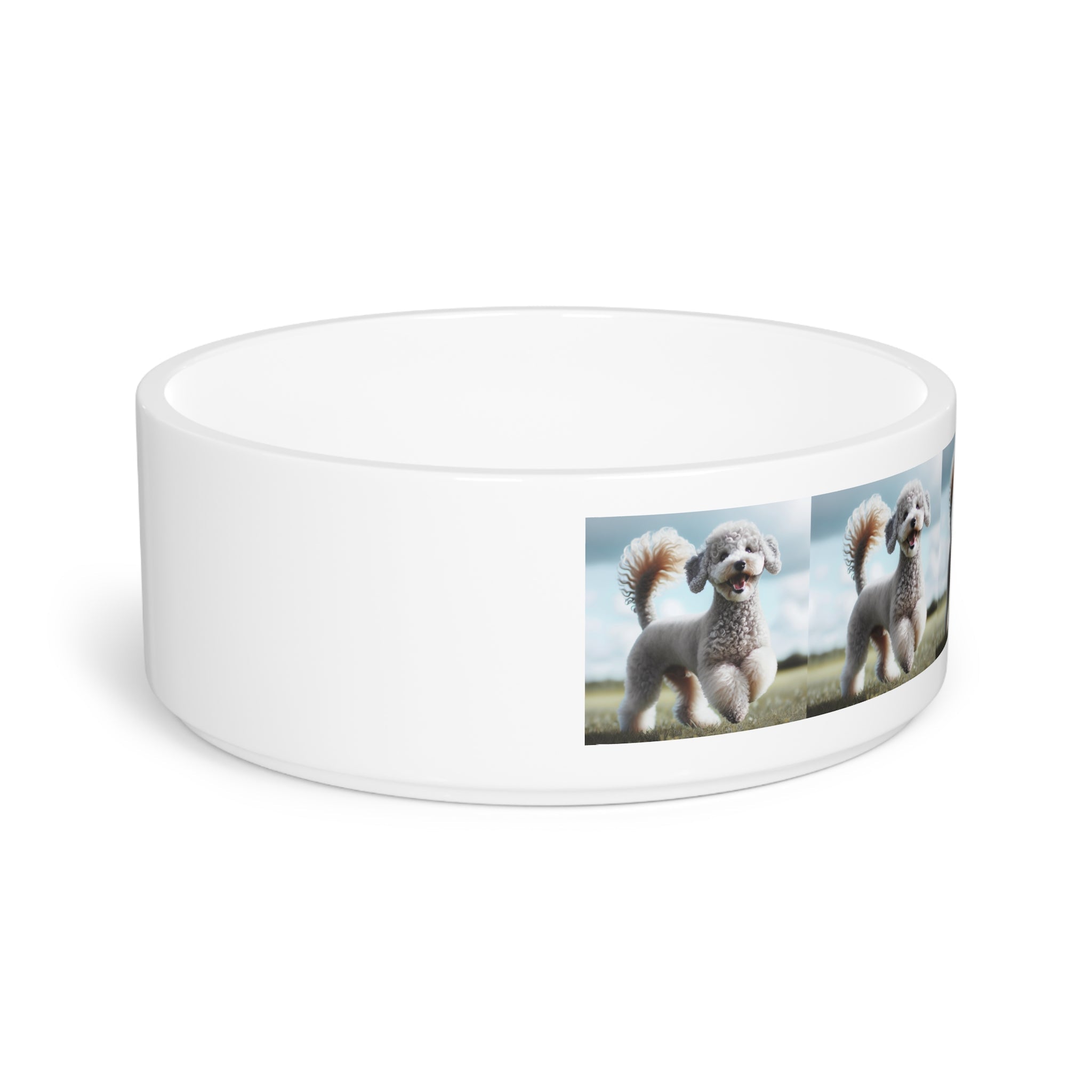 Ceramic Pet Bowl – 16 oz Dog Feeding Bowl
