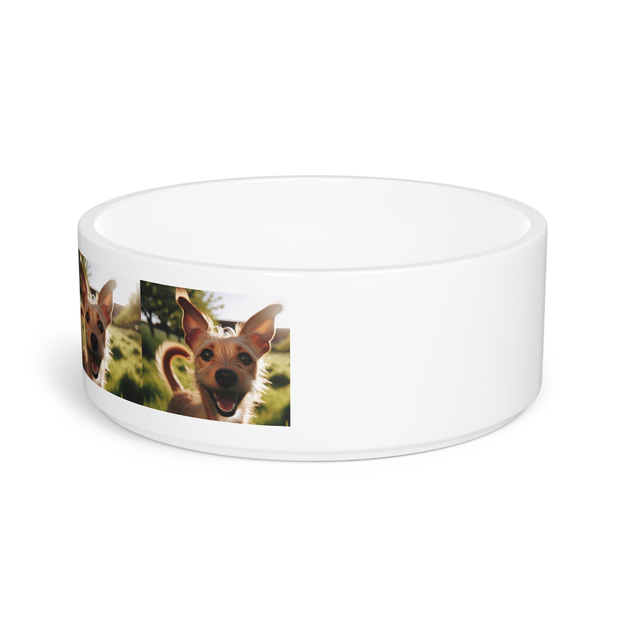 Ceramic Pet Bowl – 16 oz Dog Feeding Bowl