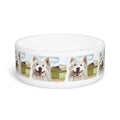 Ceramic Pet Bowl – 16 oz Dog Feeding Bowl