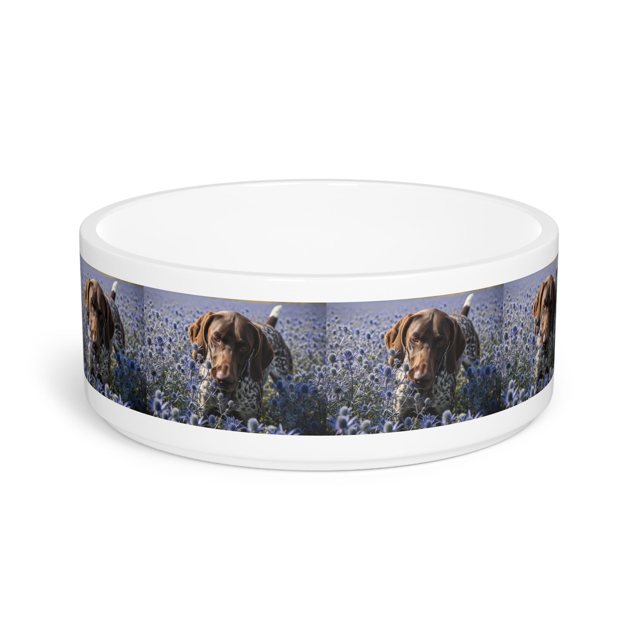 Ceramic Pet Bowl – 16 oz Dog Feeding Bowl