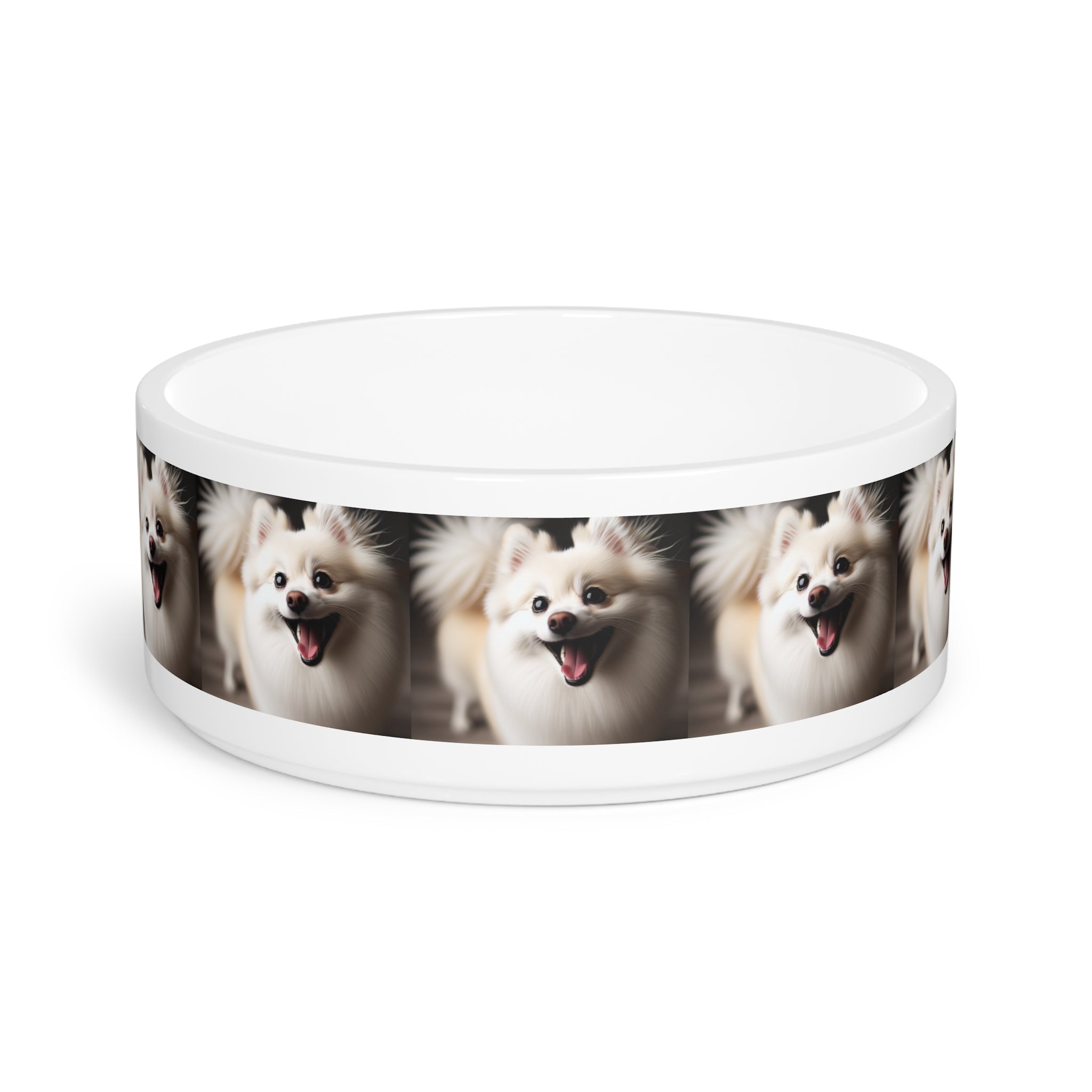 Ceramic Pet Bowl – 16 oz Dog Feeding Bowl