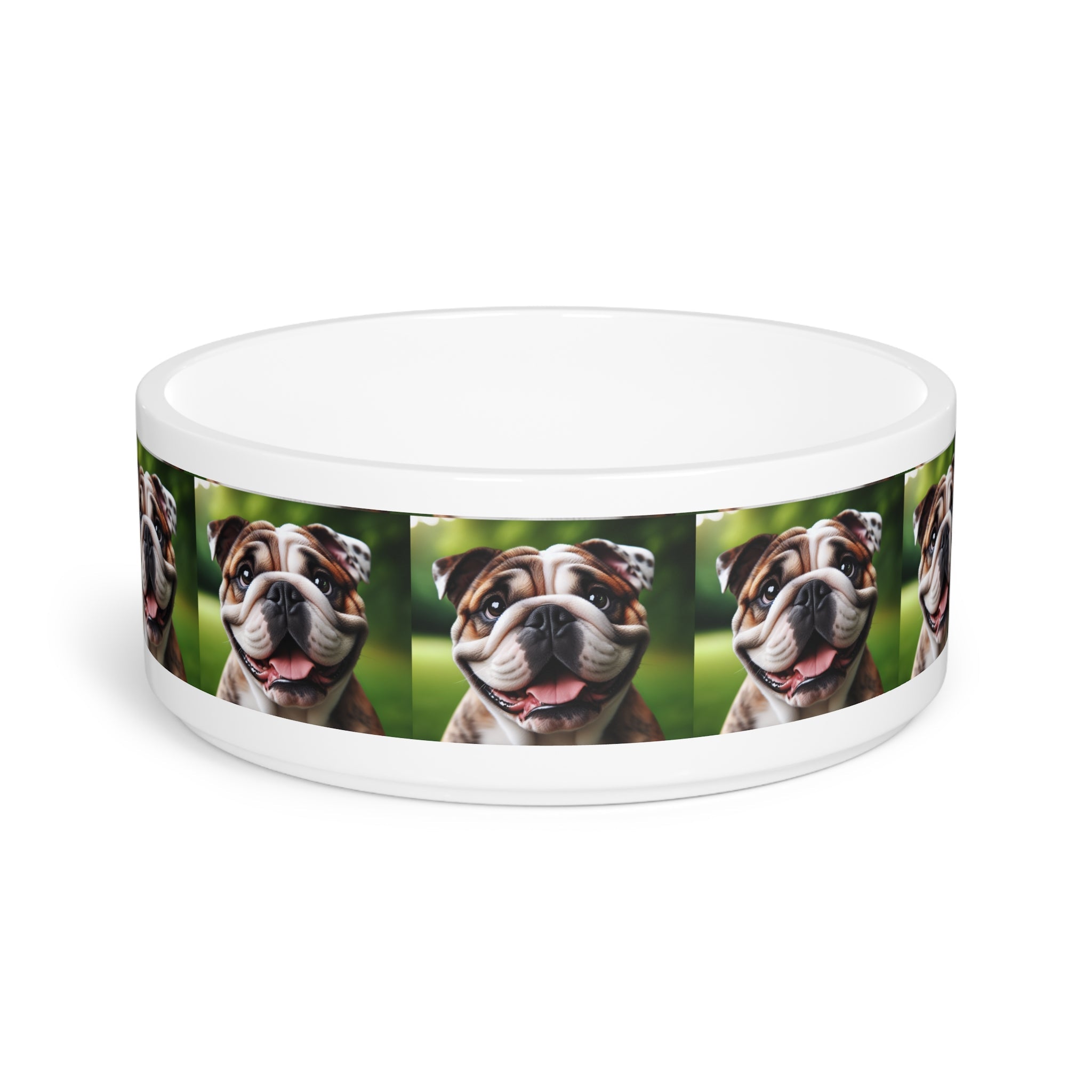 Ceramic Pet Bowl – 16 oz Dog Feeding Bowl