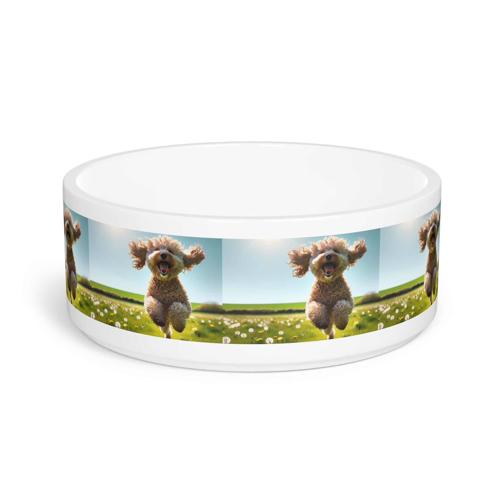 Ceramic Pet Bowl – 16 oz Dog Feeding Bowl