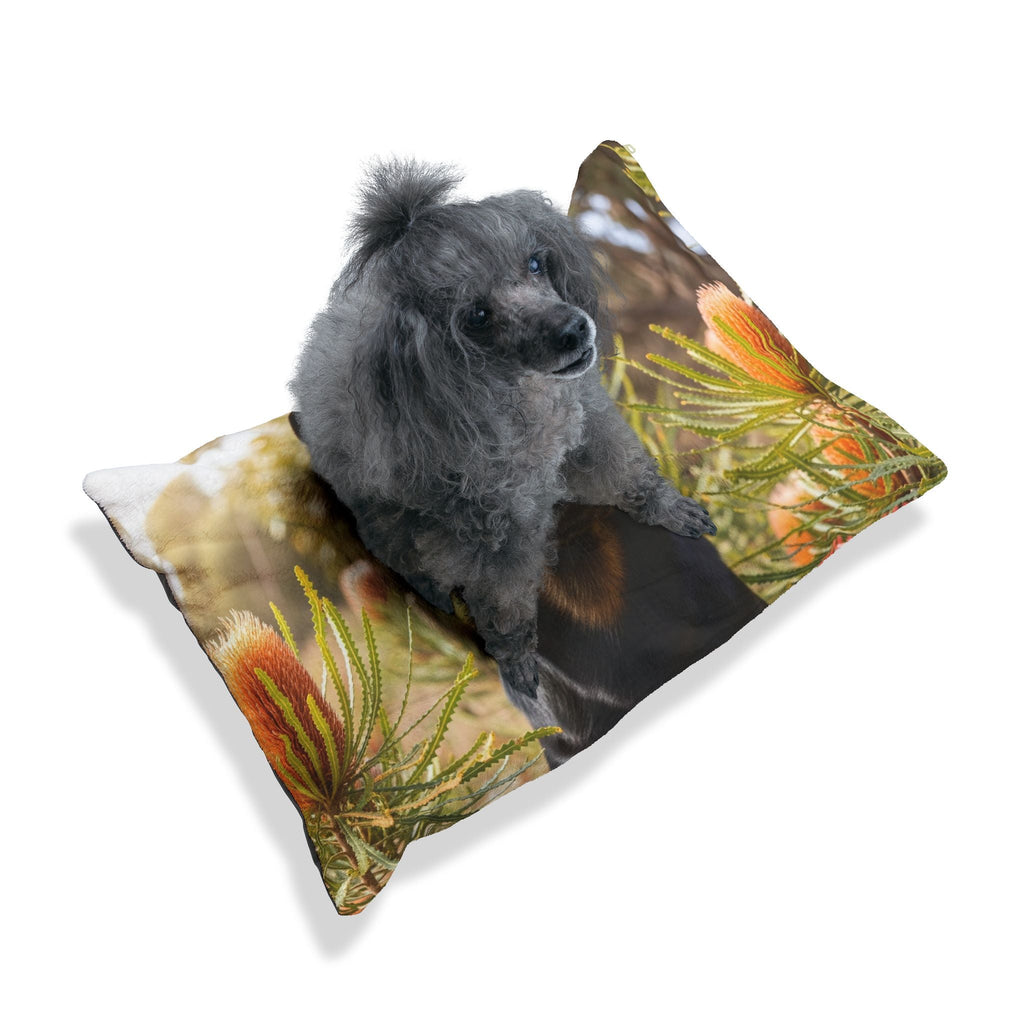 Pet Bed – Plush Dog Bed, 3 Size Options