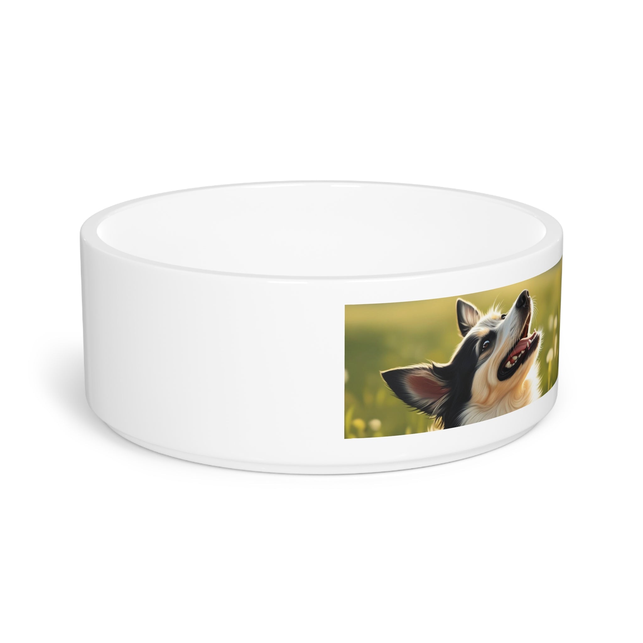Ceramic Pet Bowl – 16 oz Dog Feeding Bowl