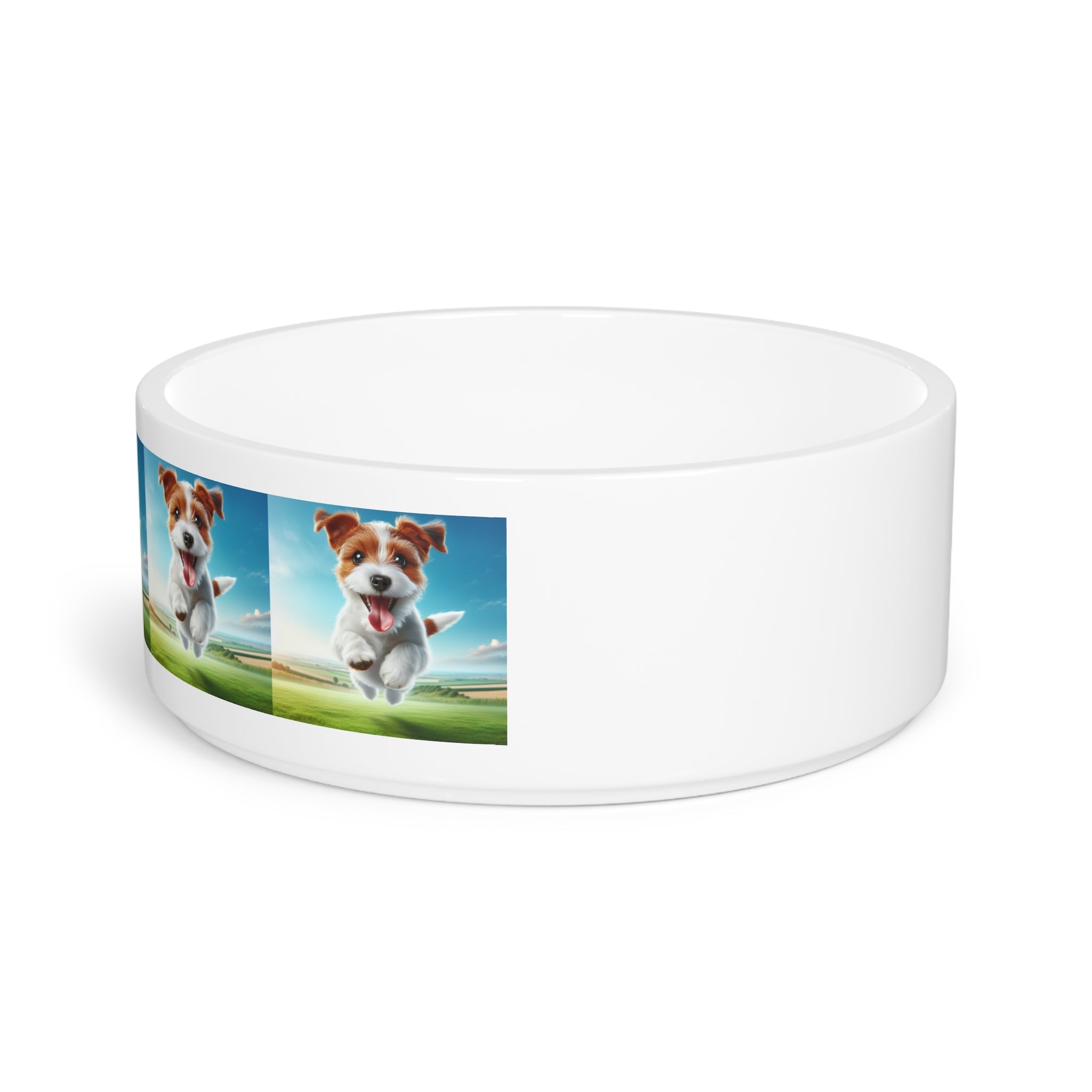 Ceramic Pet Bowl – 16 oz Dog Feeding Bowl