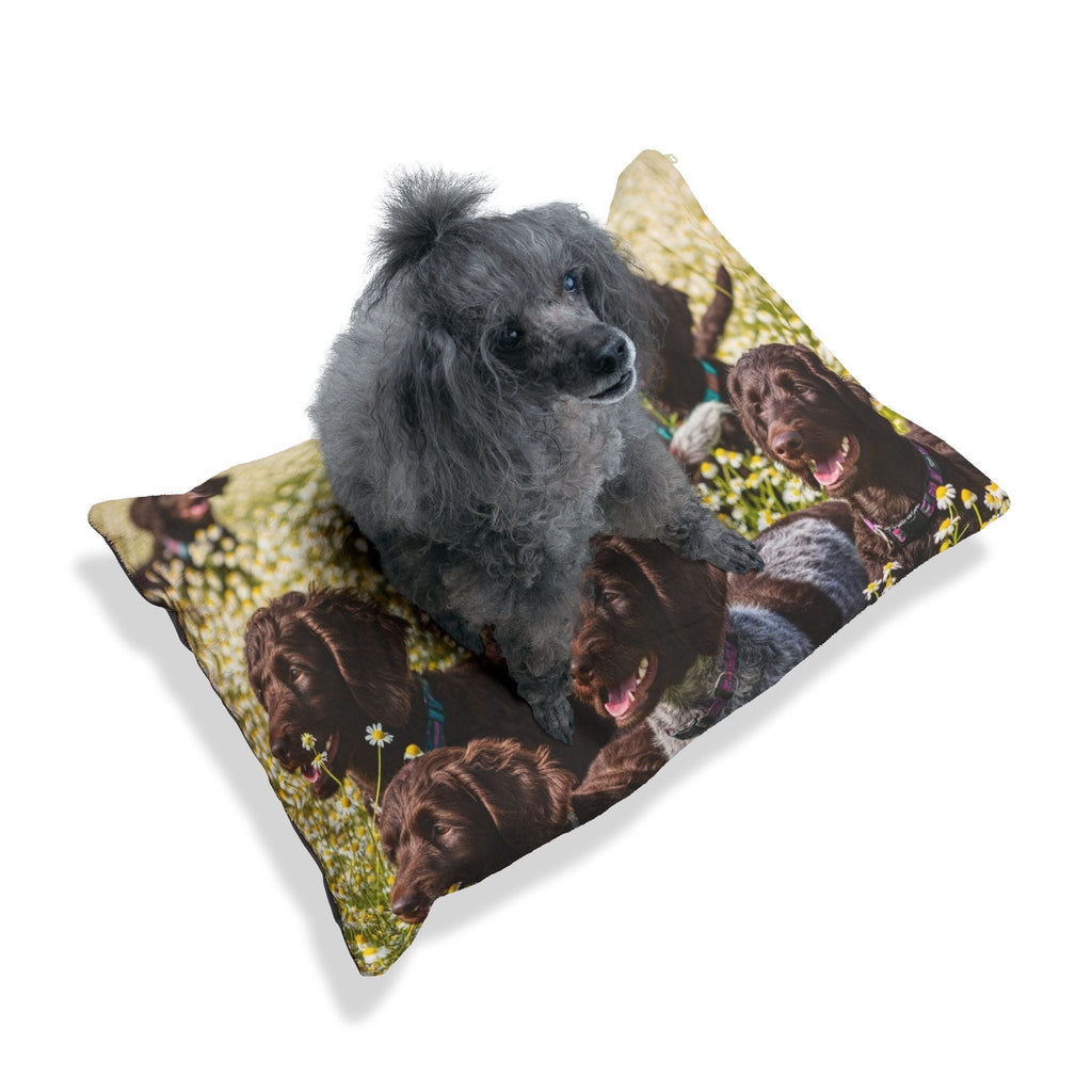 Pet Bed – Plush Dog Bed, 3 Size Options