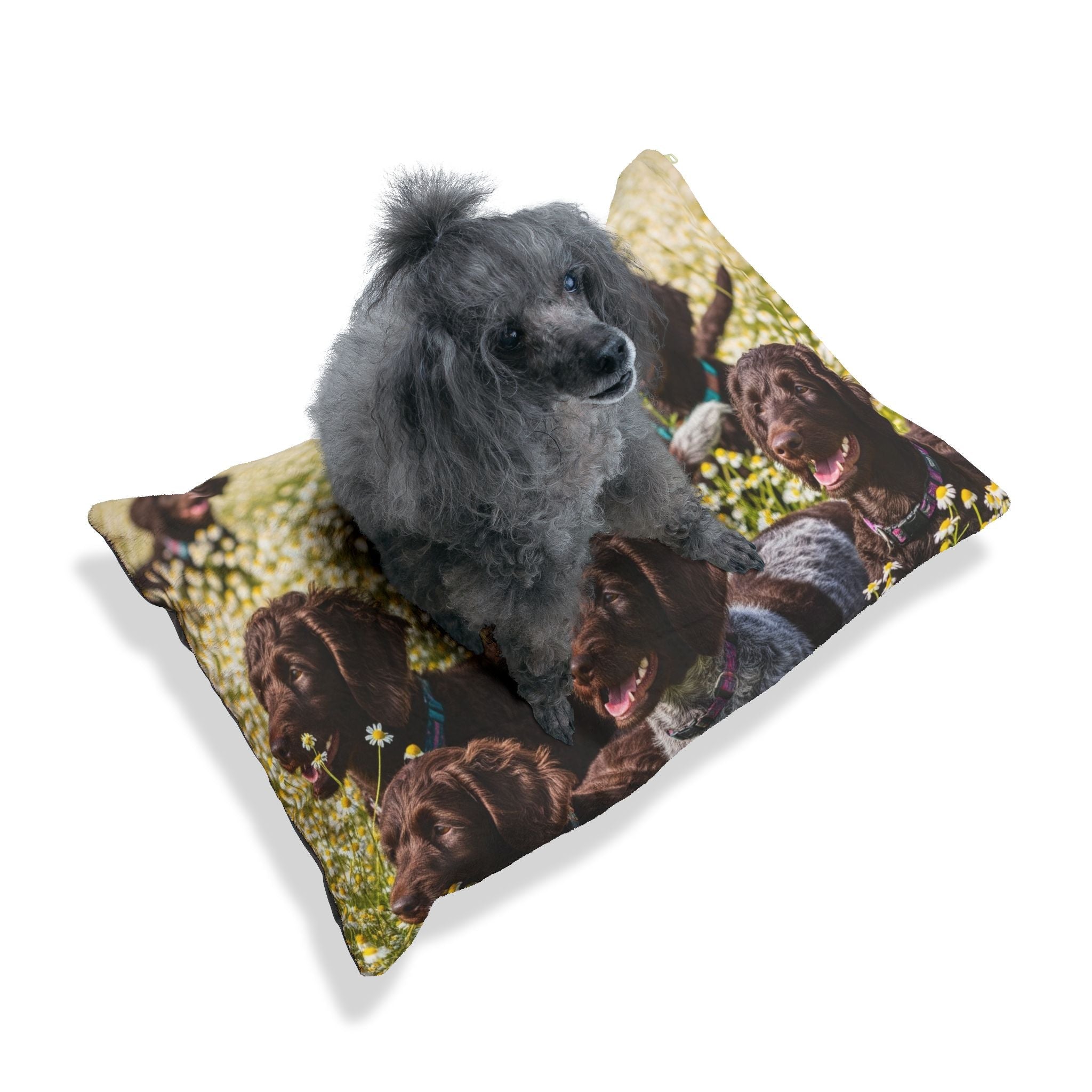Pet Bed – Plush Dog Bed, 3 Size Options
