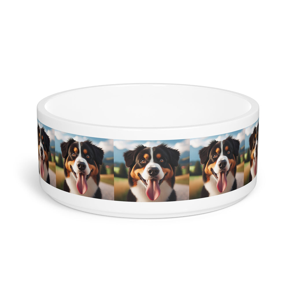Ceramic Pet Bowl – 16 oz Dog Feeding Bowl