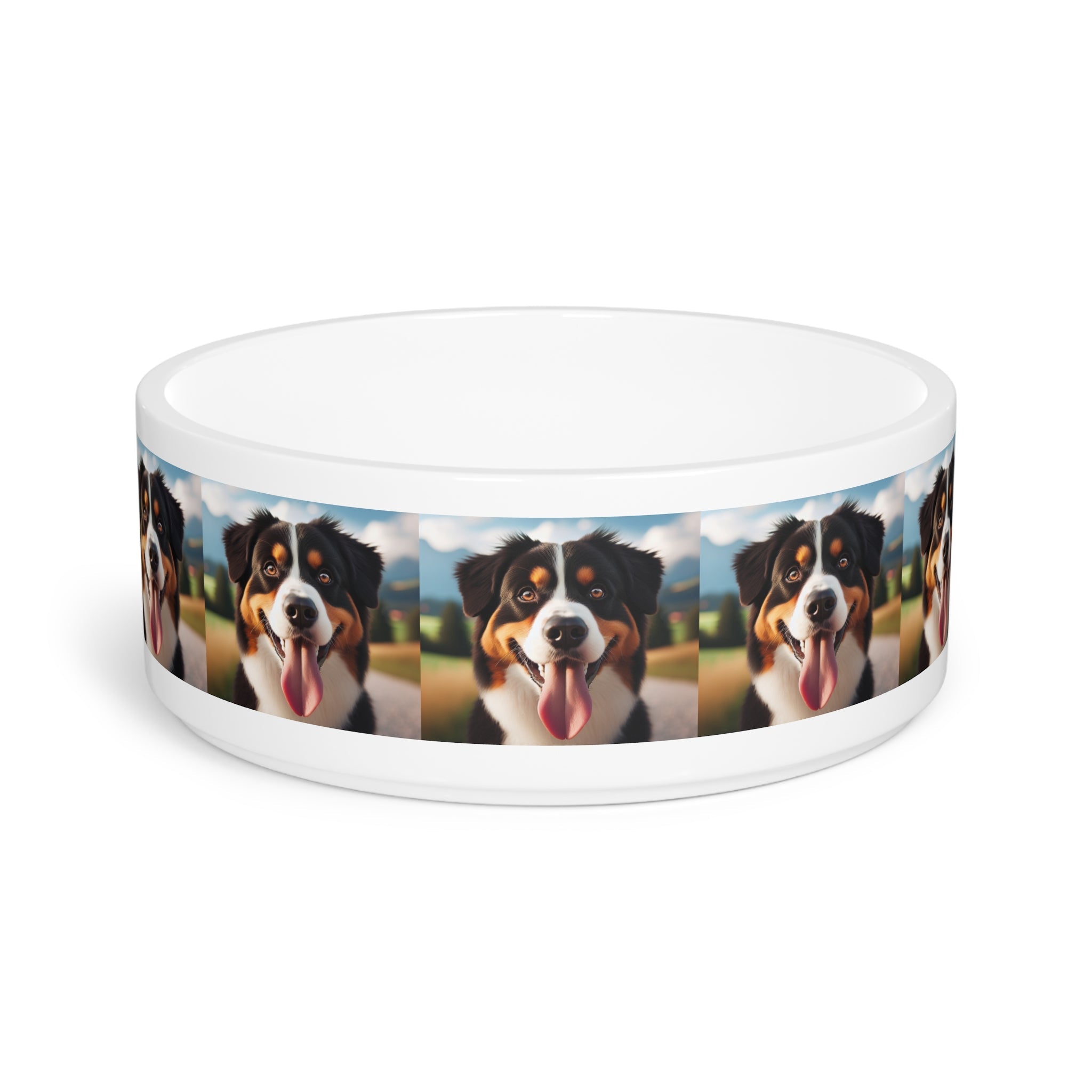 Ceramic Pet Bowl – 16 oz Dog Feeding Bowl