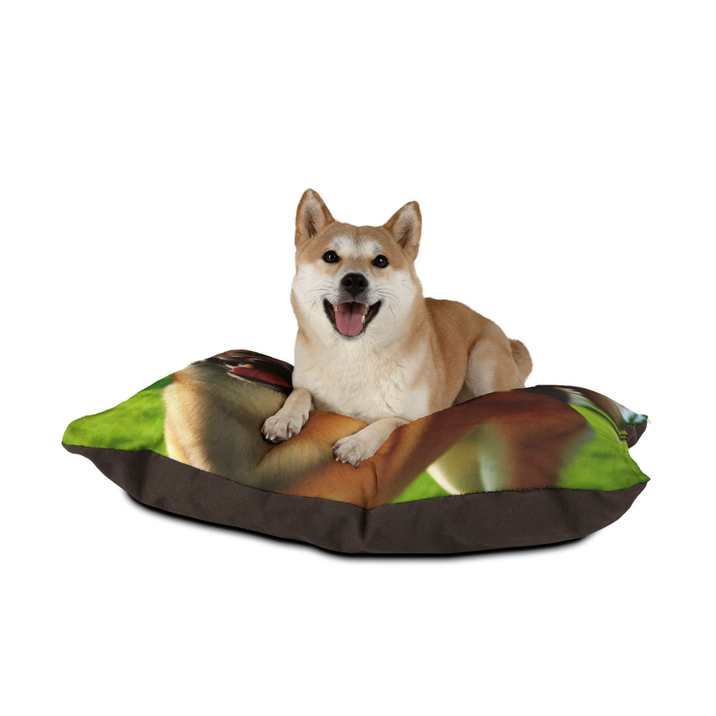 Pet Bed – Plush Dog Bed, 3 Size Options