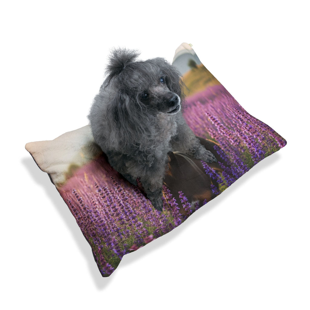 Pet Bed – Plush Dog Bed, 3 Size Options