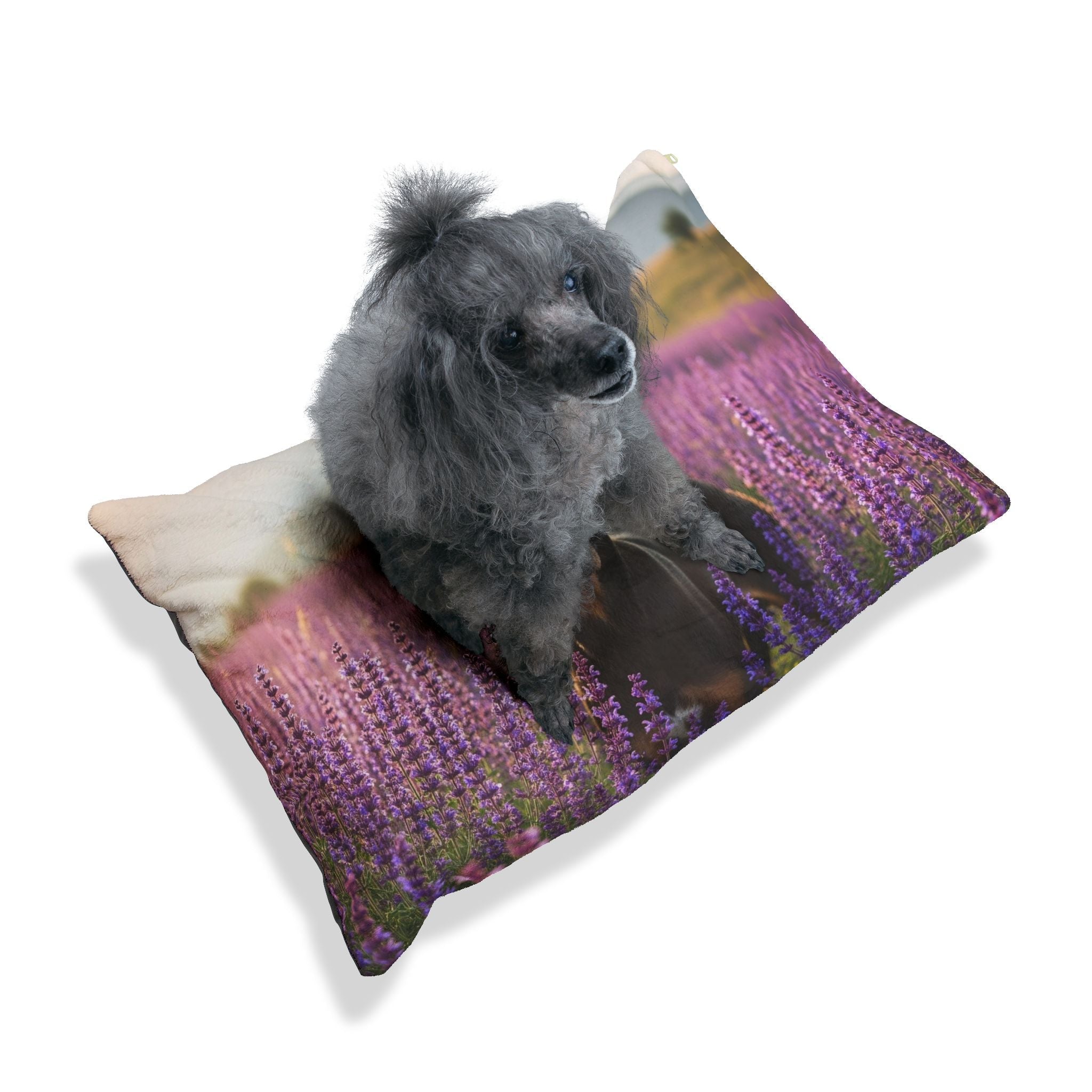 Pet Bed – Plush Dog Bed, 3 Size Options