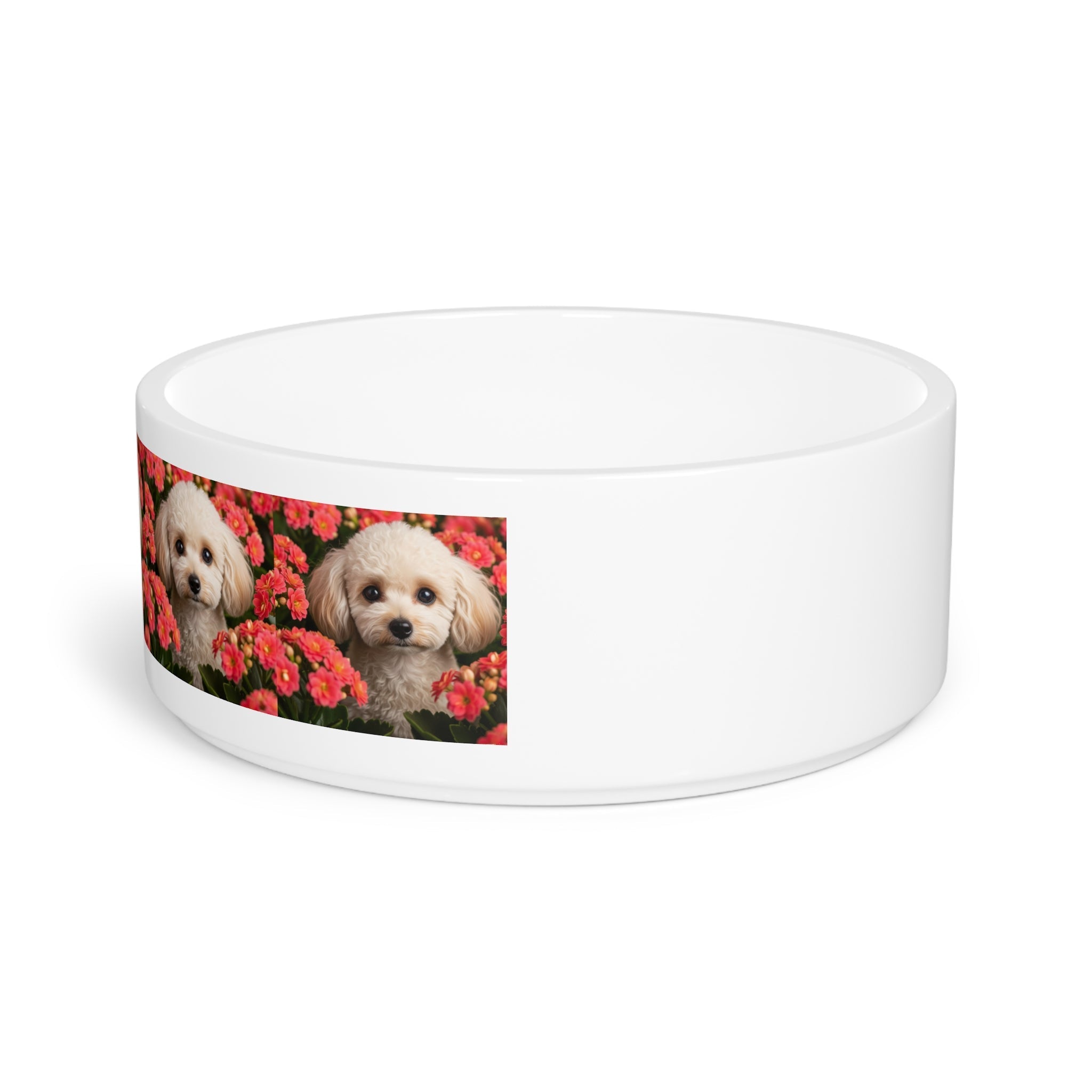 Ceramic Pet Bowl – 16 oz Dog Feeding Bowl