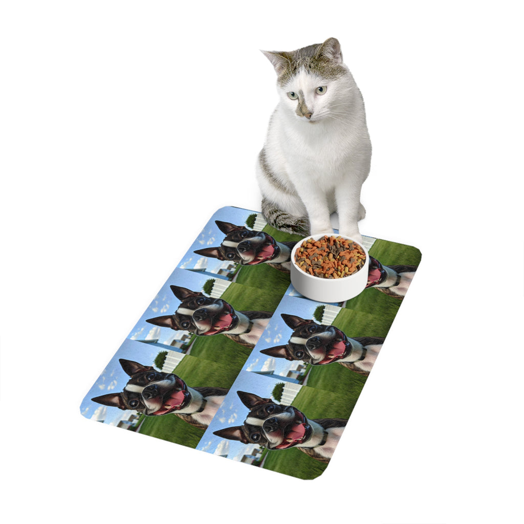 Non-Slip Pet Food Mat – Waterproof Feeding Mat for Dogs