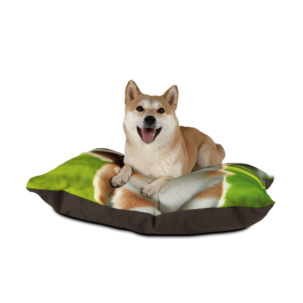 Pet Bed – Plush Dog Bed, 3 Size Options
