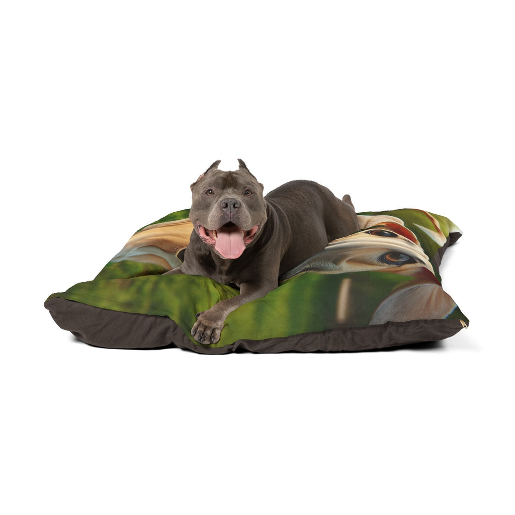 Pet Bed – Plush Dog Bed, 3 Size Options