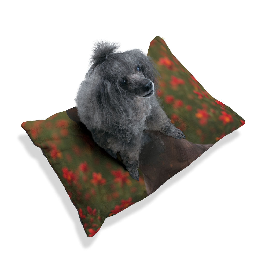 Pet Bed – Plush Dog Bed, 3 Size Options