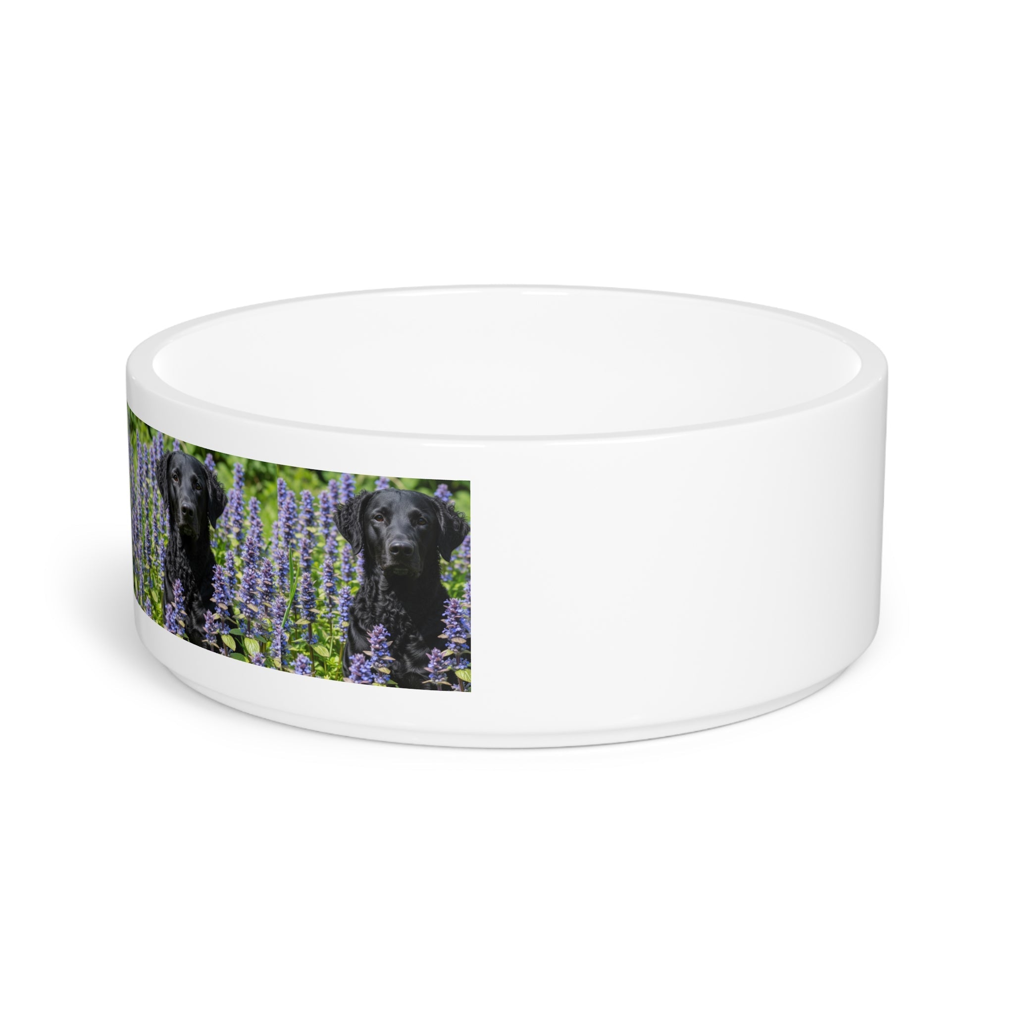 Ceramic Pet Bowl – 16 oz Dog Feeding Bowl