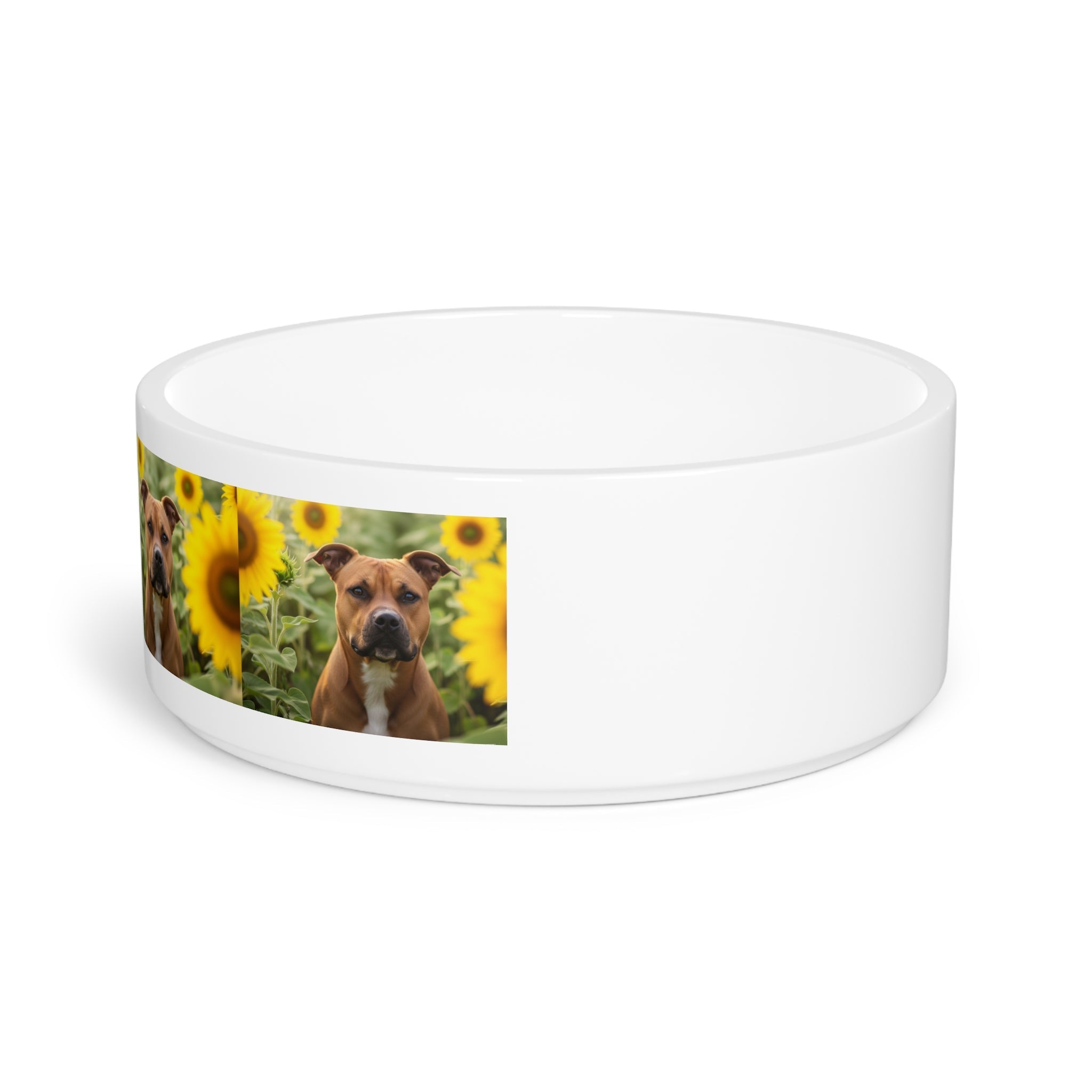 Ceramic Pet Bowl – 16 oz Dog Feeding Bowl