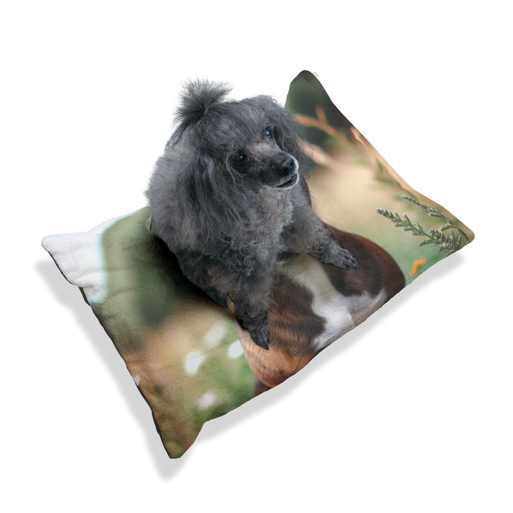 Pet Bed – Plush Dog Bed, 3 Size Options