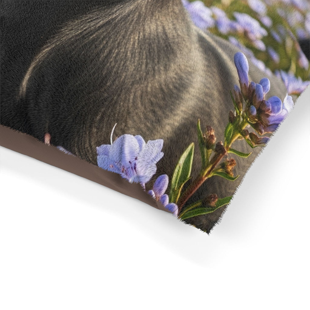 Pet Bed – Plush Dog Bed, 3 Size Options
