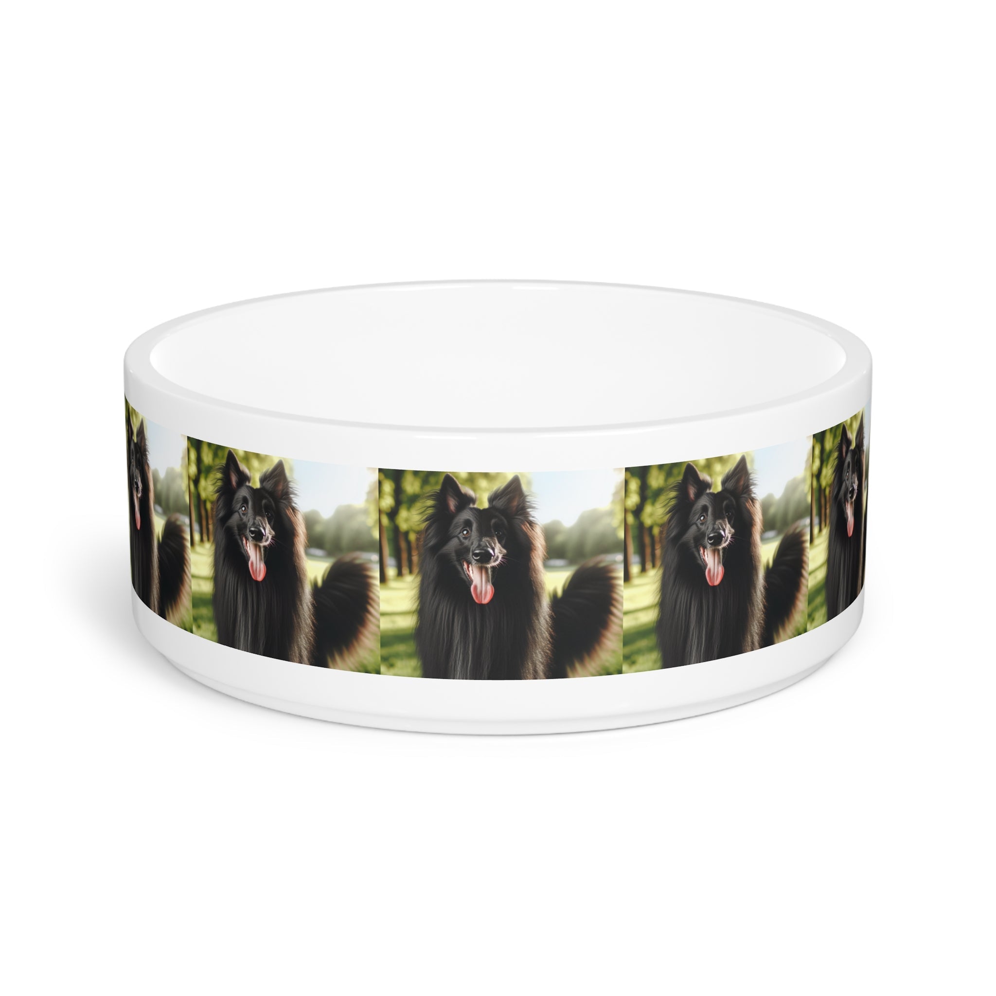 Ceramic Pet Bowl – 16 oz Dog Feeding Bowl