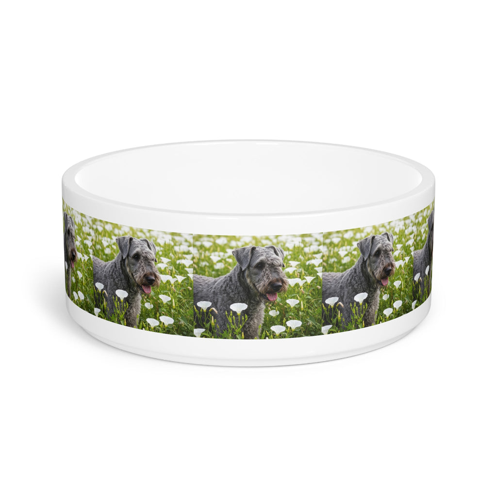Ceramic Pet Bowl – 16 oz Dog Feeding Bowl