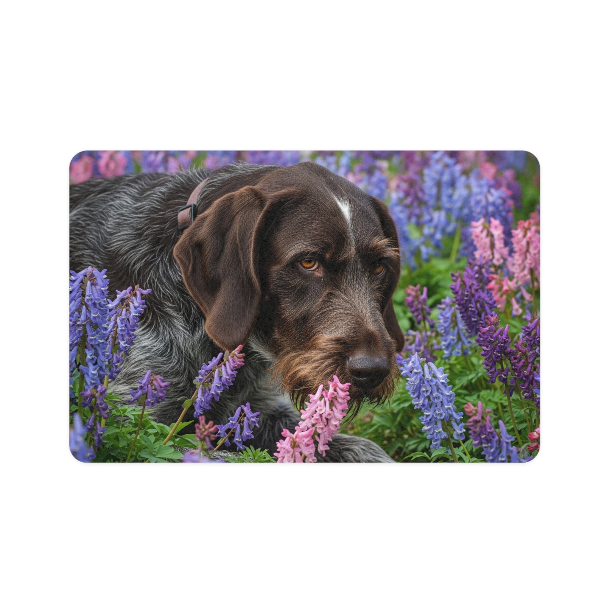 Non-Slip Pet Food Mat – Waterproof Feeding Mat for Dogs