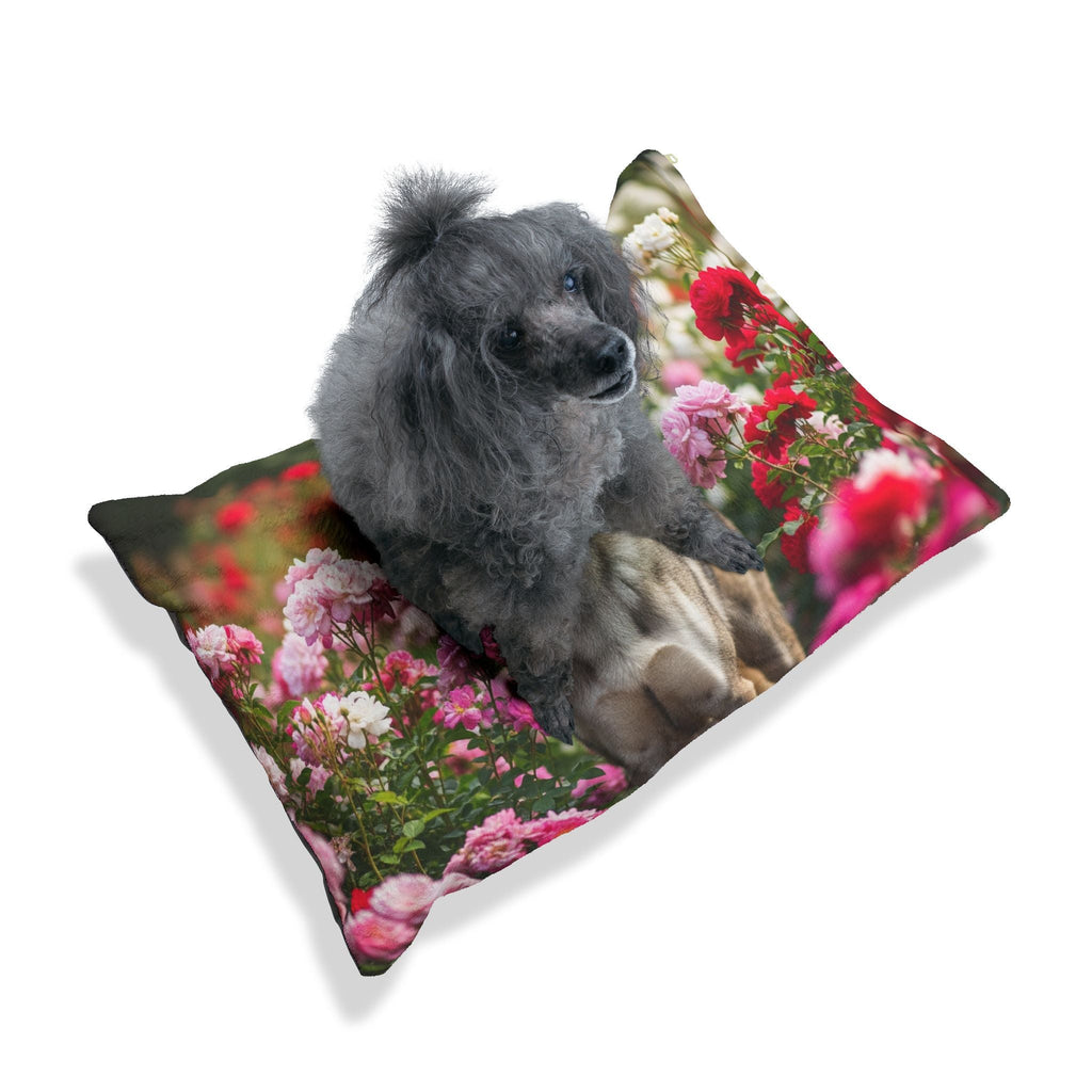 Pet Bed – Plush Dog Bed, 3 Size Options