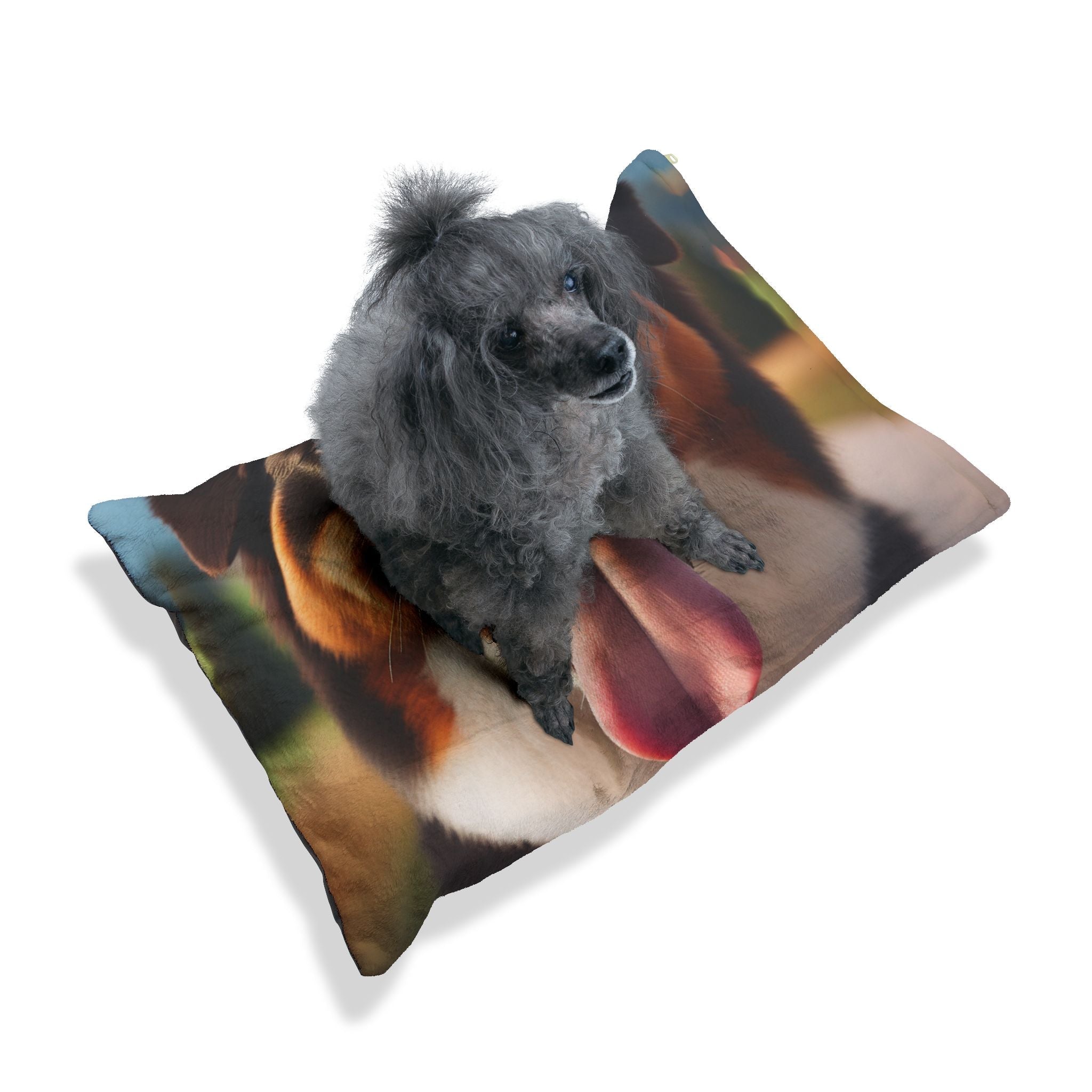 Pet Bed – Plush Dog Bed, 3 Size Options