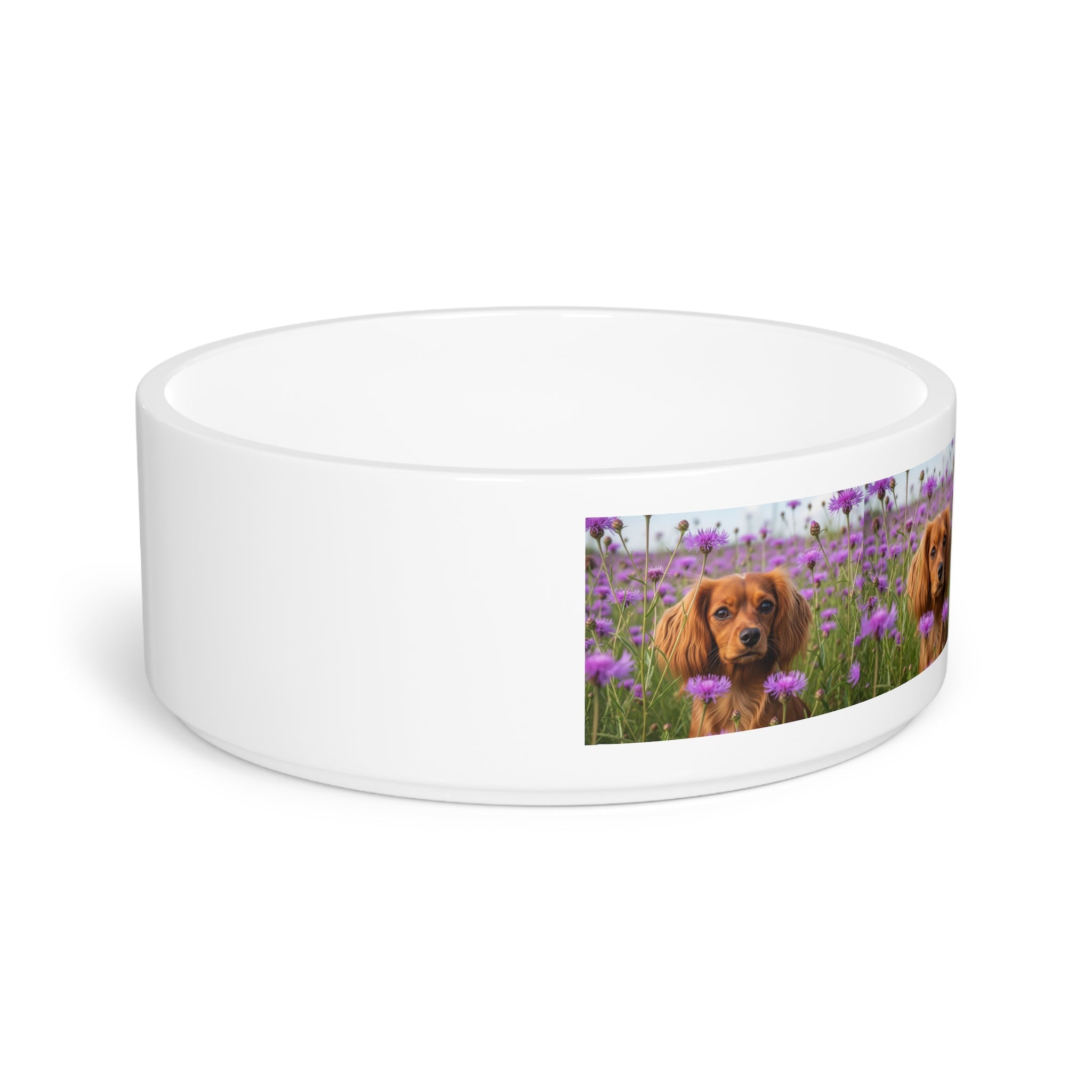 Ceramic Pet Bowl – 16 oz Dog Feeding Bowl