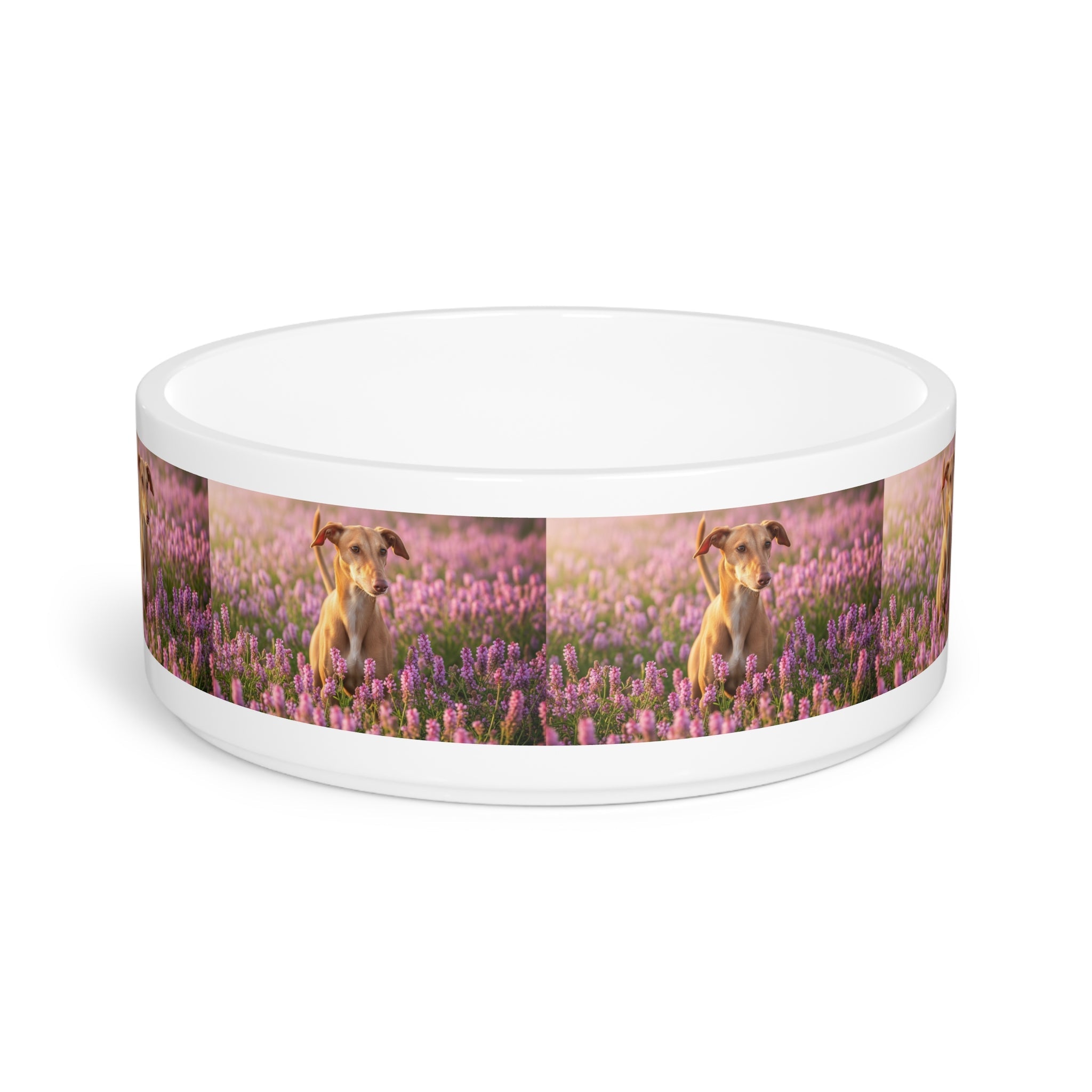 Ceramic Pet Bowl – 16 oz Dog Feeding Bowl