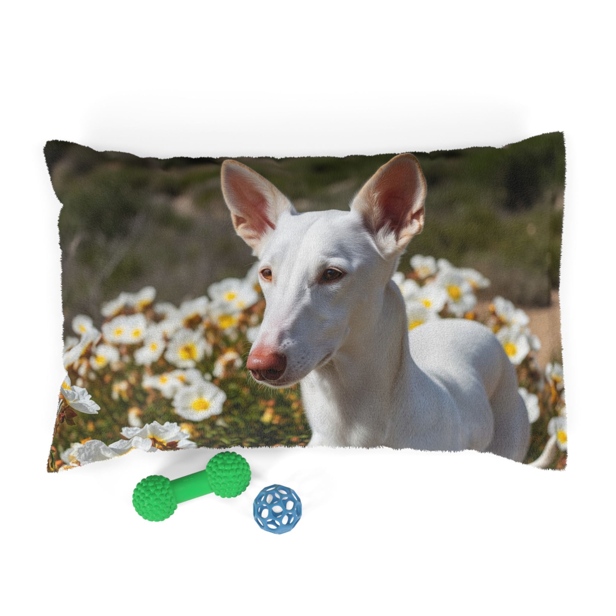 Pet Bed – Plush Dog Bed, 3 Size Options