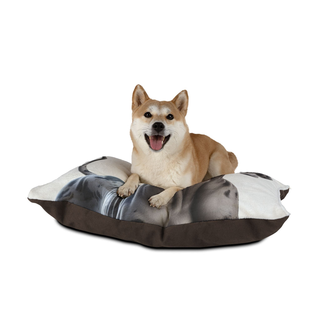 Pet Bed – Plush Dog Bed, 3 Size Options