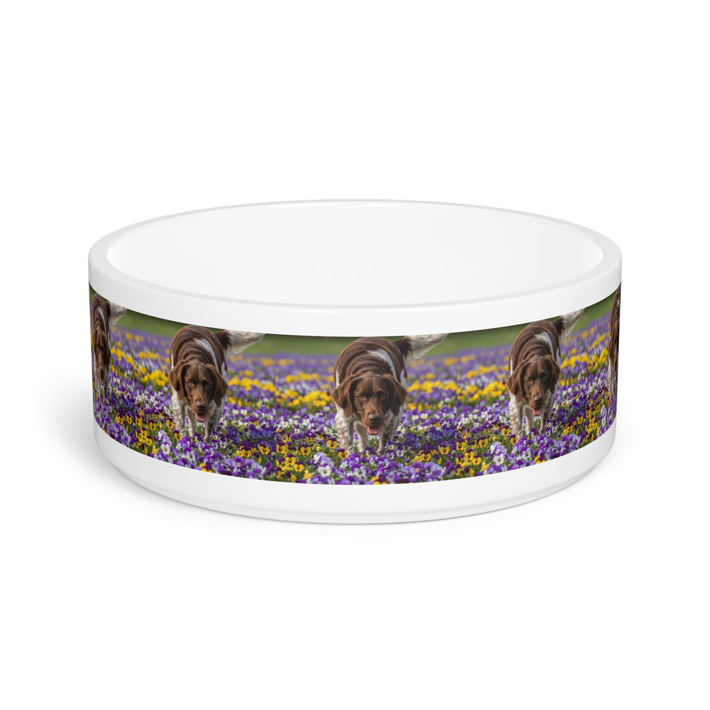 Ceramic Pet Bowl – 16 oz Dog Feeding Bowl